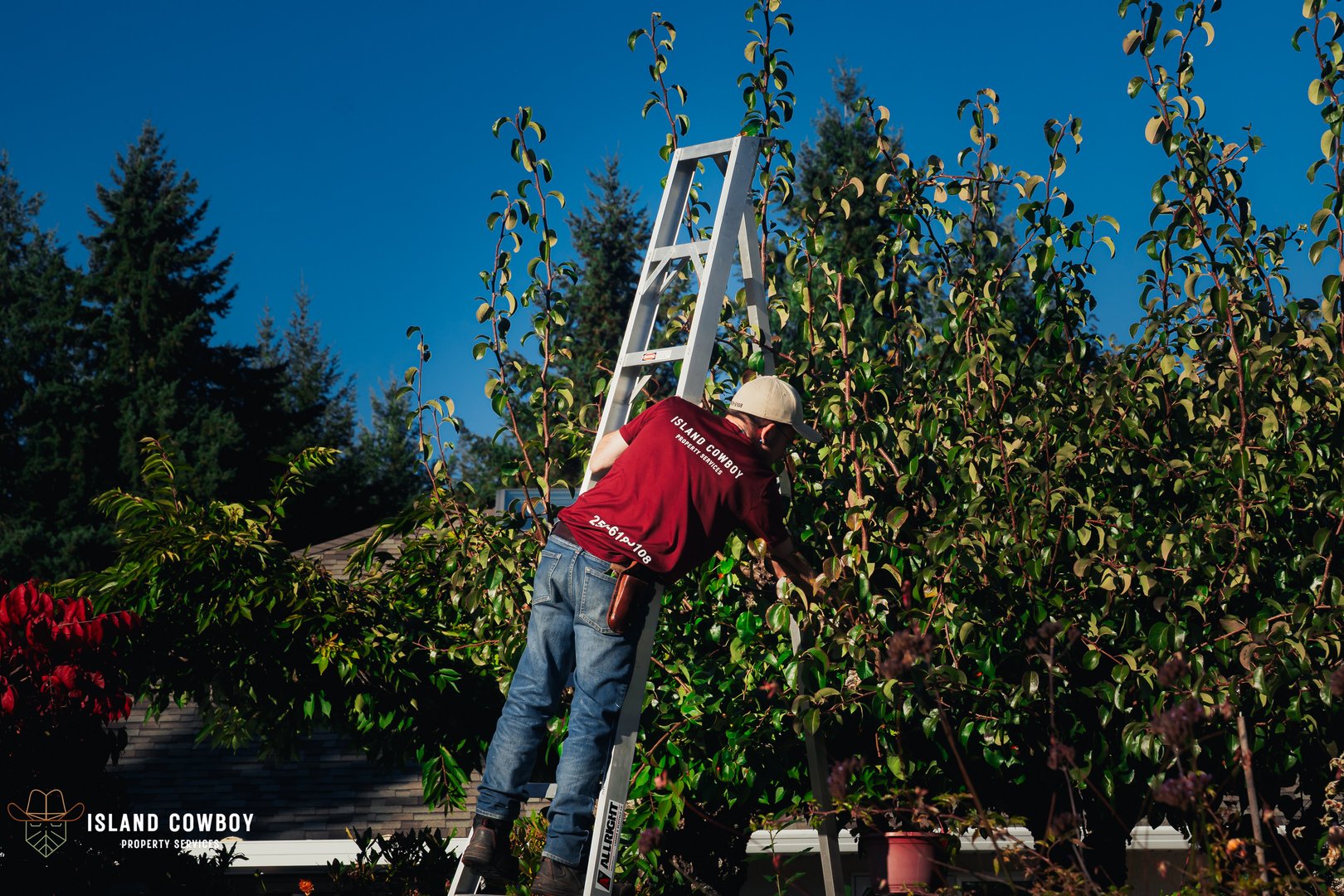Expert landscaping installation by Island Cowboy