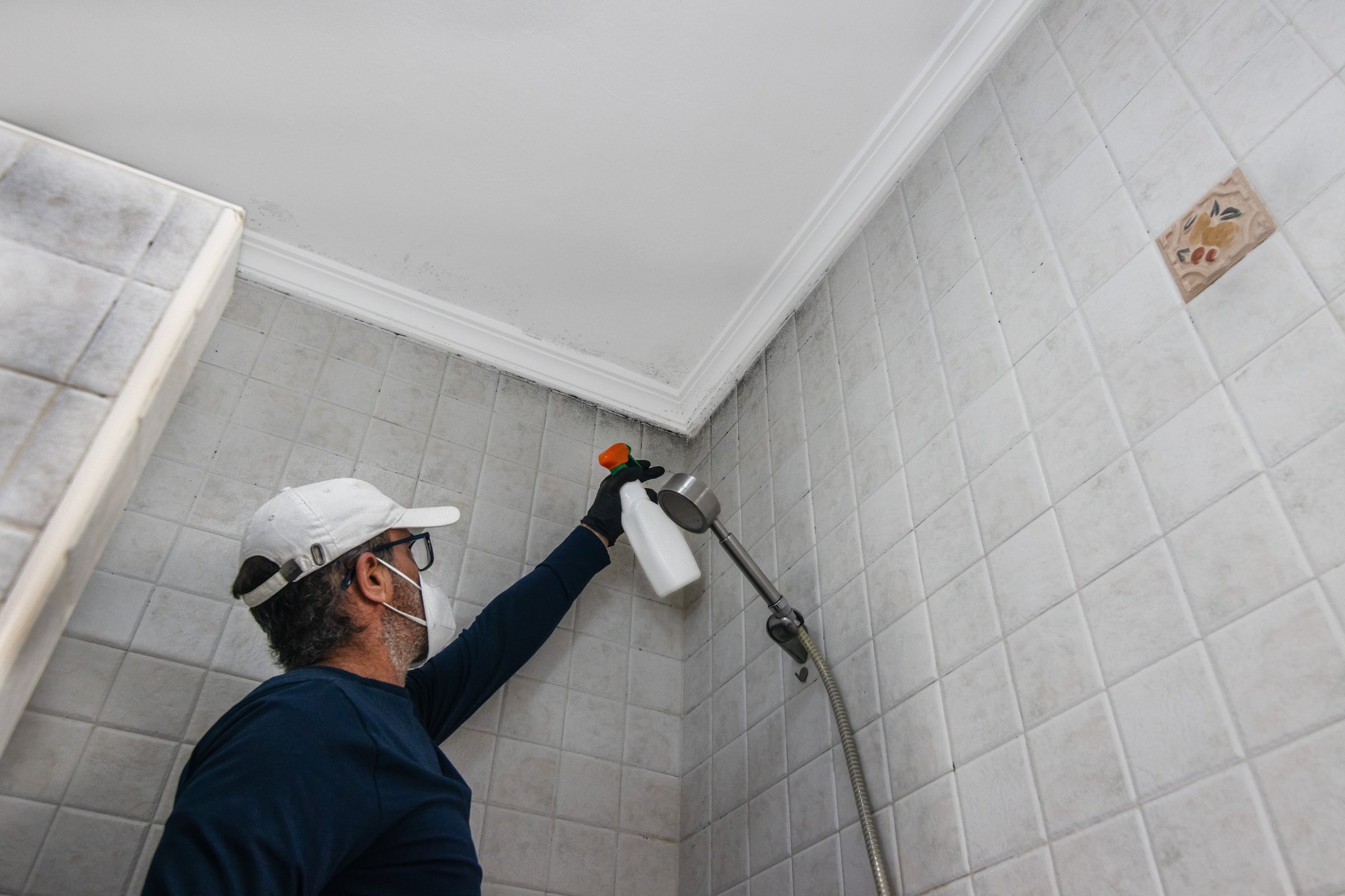 A man with latex gloves cleans mould from tiles and ceiling in the bathroom with a sprayer. Damp and condensation problem in homes.