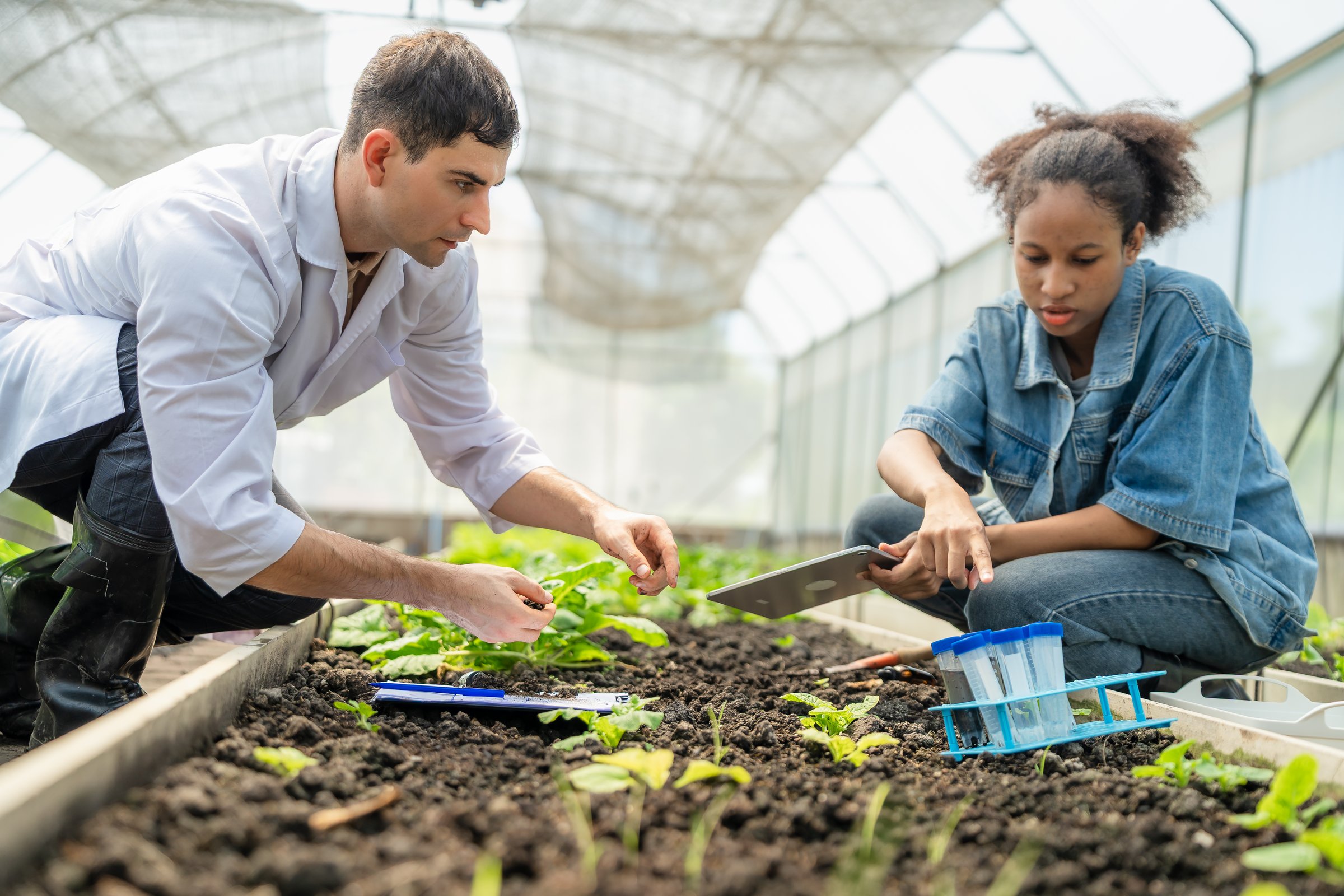 Agritech Team Using a Digital Tablet for Data Analysis in a Modern Organic Farm.