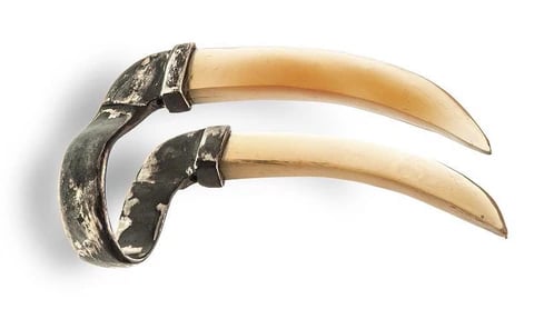 Anel Faca do Cabeleira - chifre de búfalo e prata oxidada