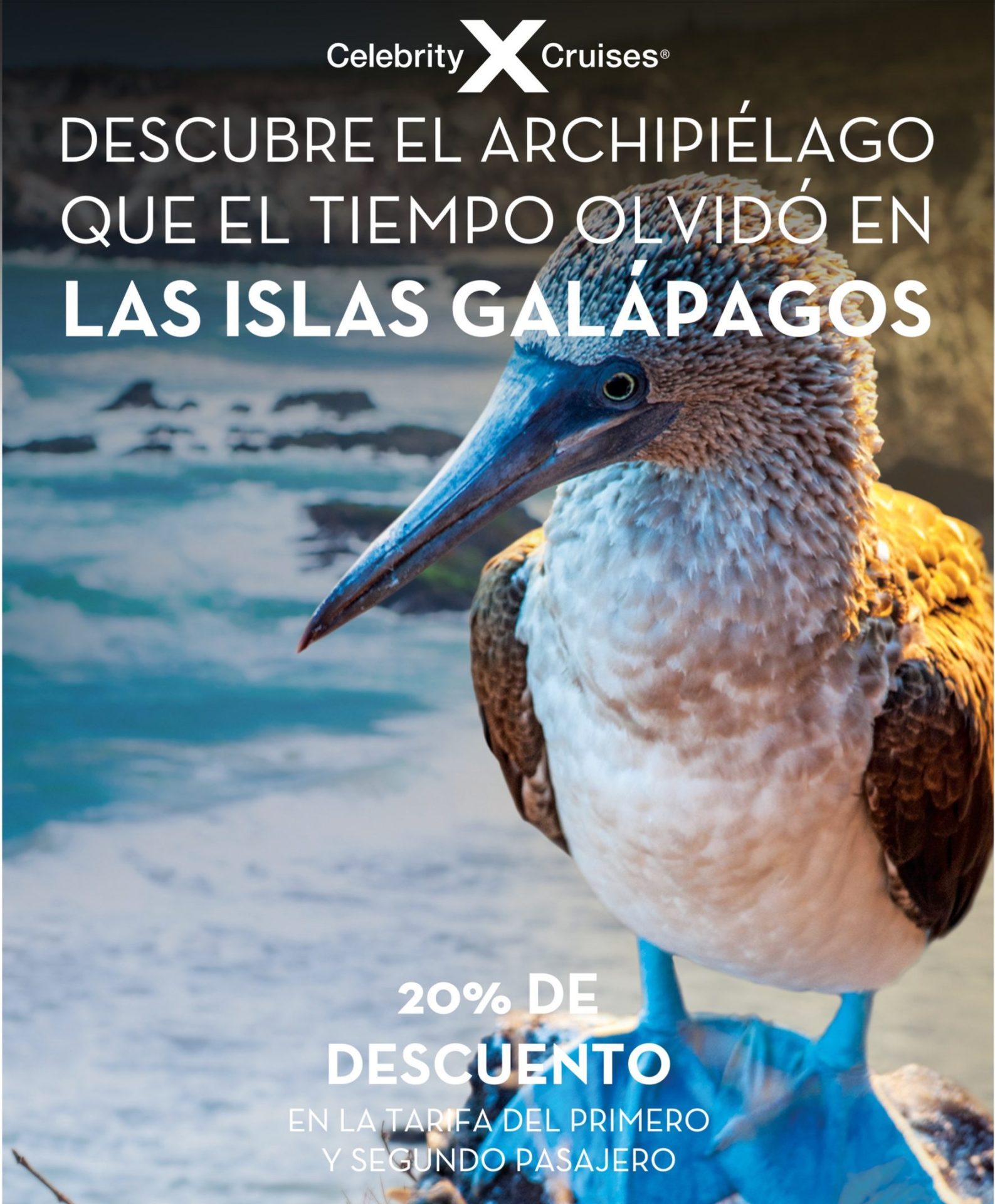 Promotional image for Celebrity Cruises featuring a Galápagos blue-footed booby with 20% discount offer.
