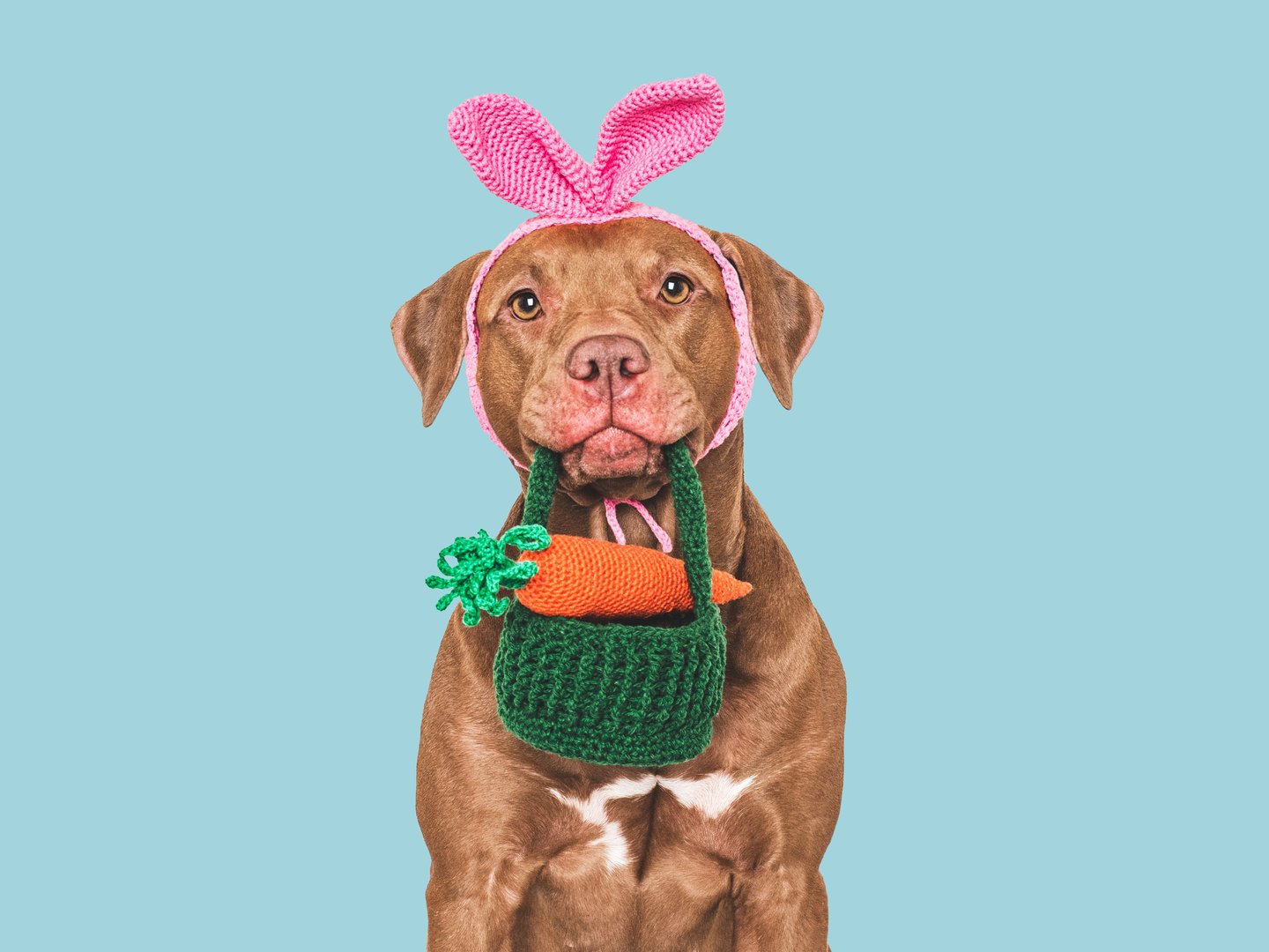 Easter Family Fun Day at The Ponds Bistro