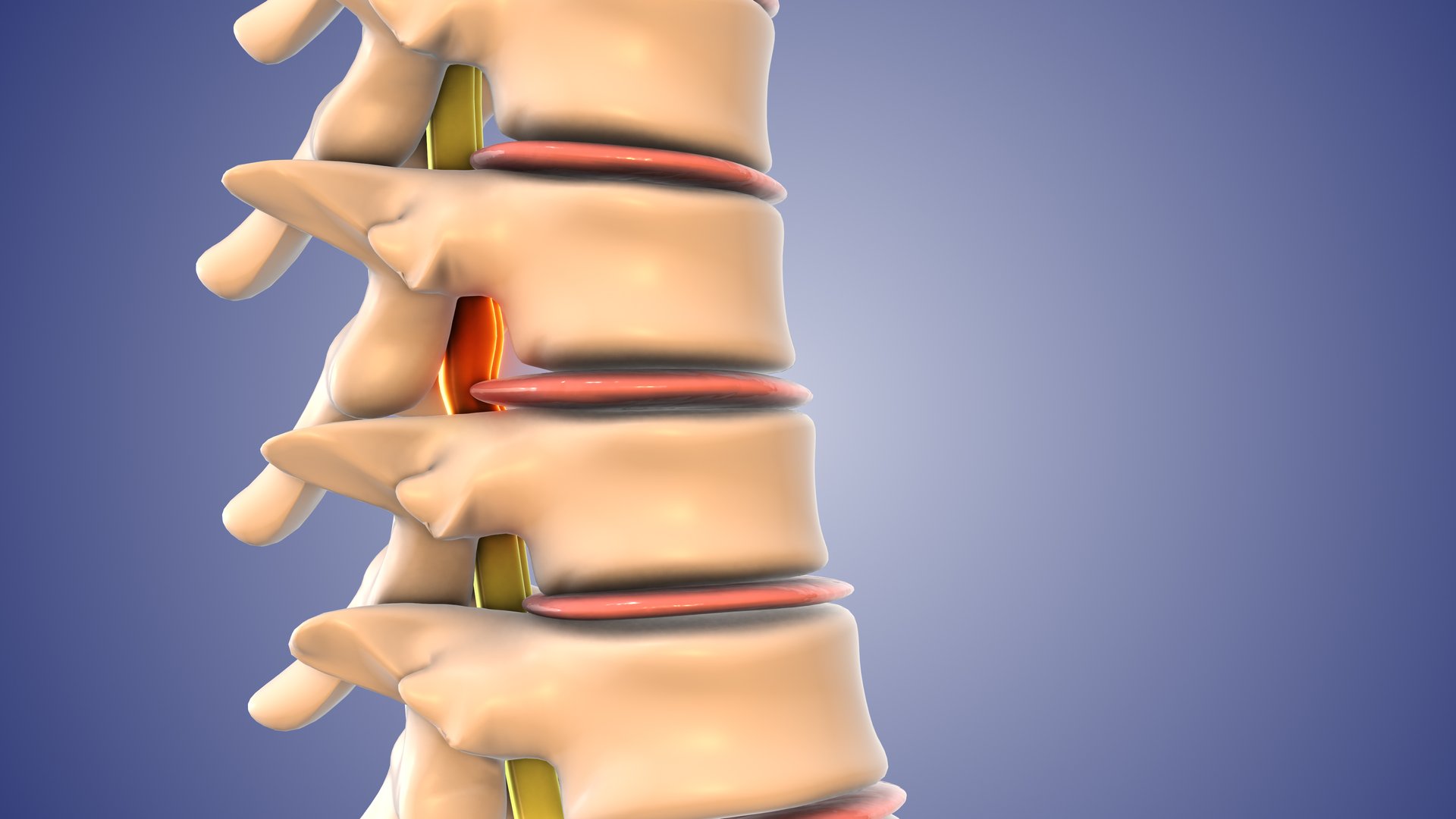 Spinal decompression therapy stretching