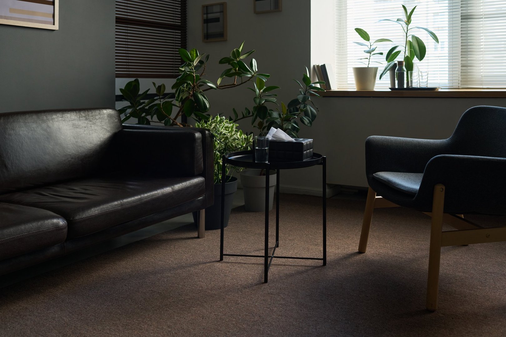 Empty psychotherapists office featuring black leather sofa, modern armchair, small round table with tissue box, several green potted plants arranged near window with blinds