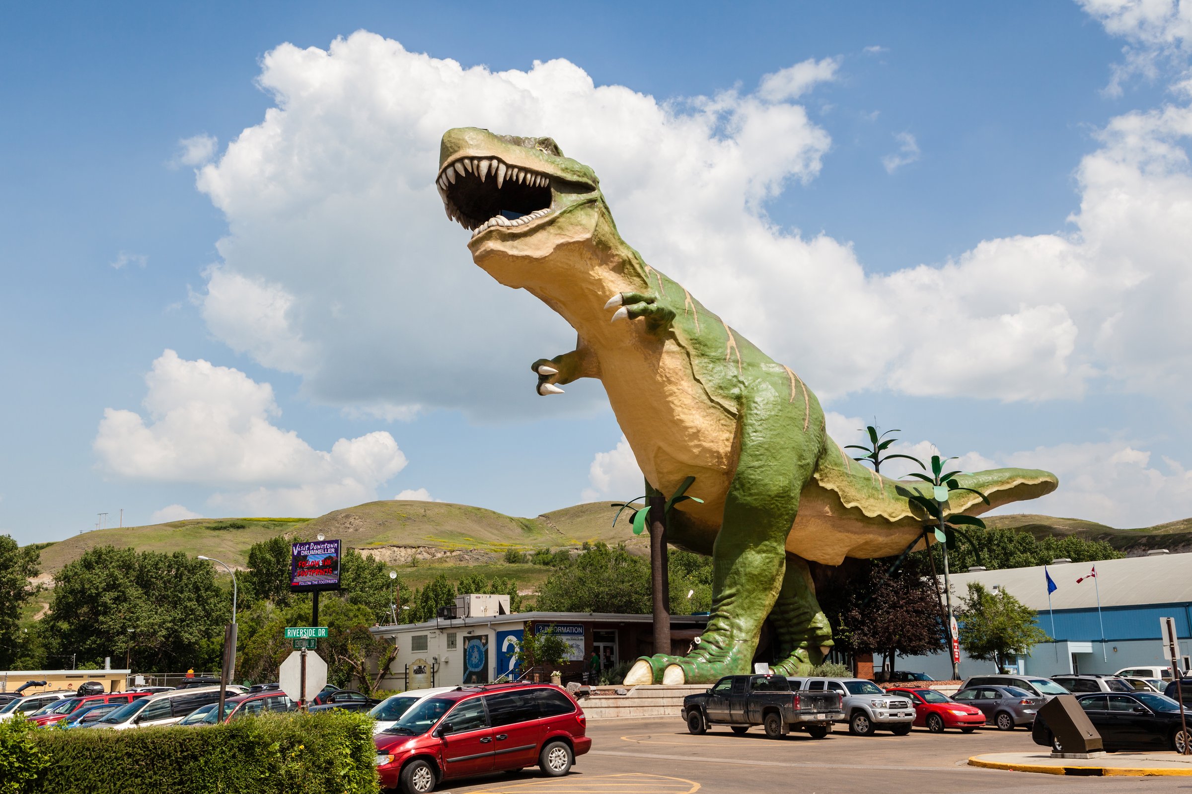 Drumheller, Canada - July 7, 2014: The world's largest dinosaur model stands at 86 ft tall and 151 ft long in Drumheller July 7, 2014. The iconic T-Rex marks the entrance to the town's visitor center and the area's worldwide fame for palaeontology research.