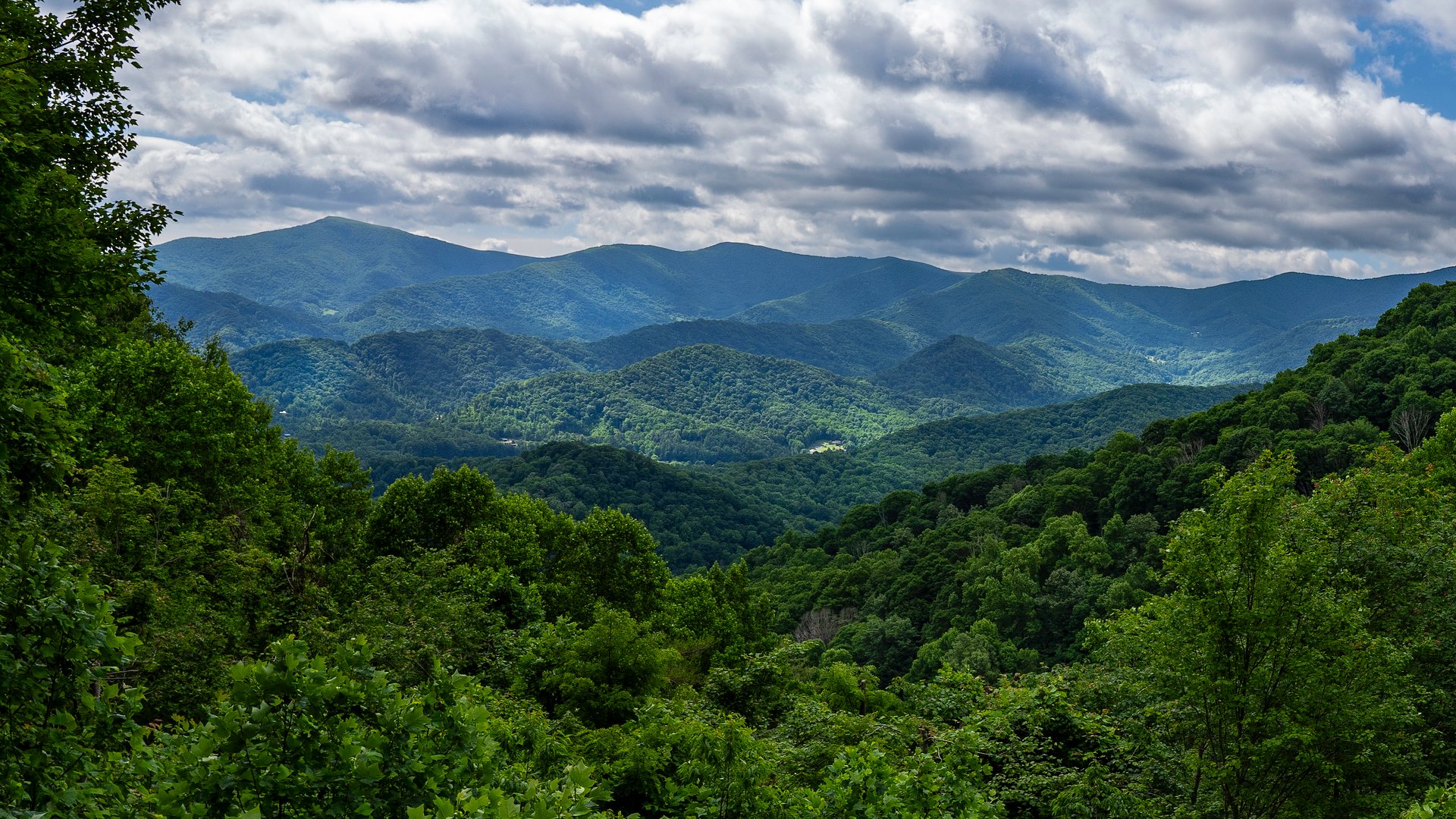 A wide-angle image of the Roan Highlands from the Chestnut Ridge Overlook in Roan Mountain State Park, Tennessee. Framed by lush forest in the foreground and thick clouds above the mountain peaks.