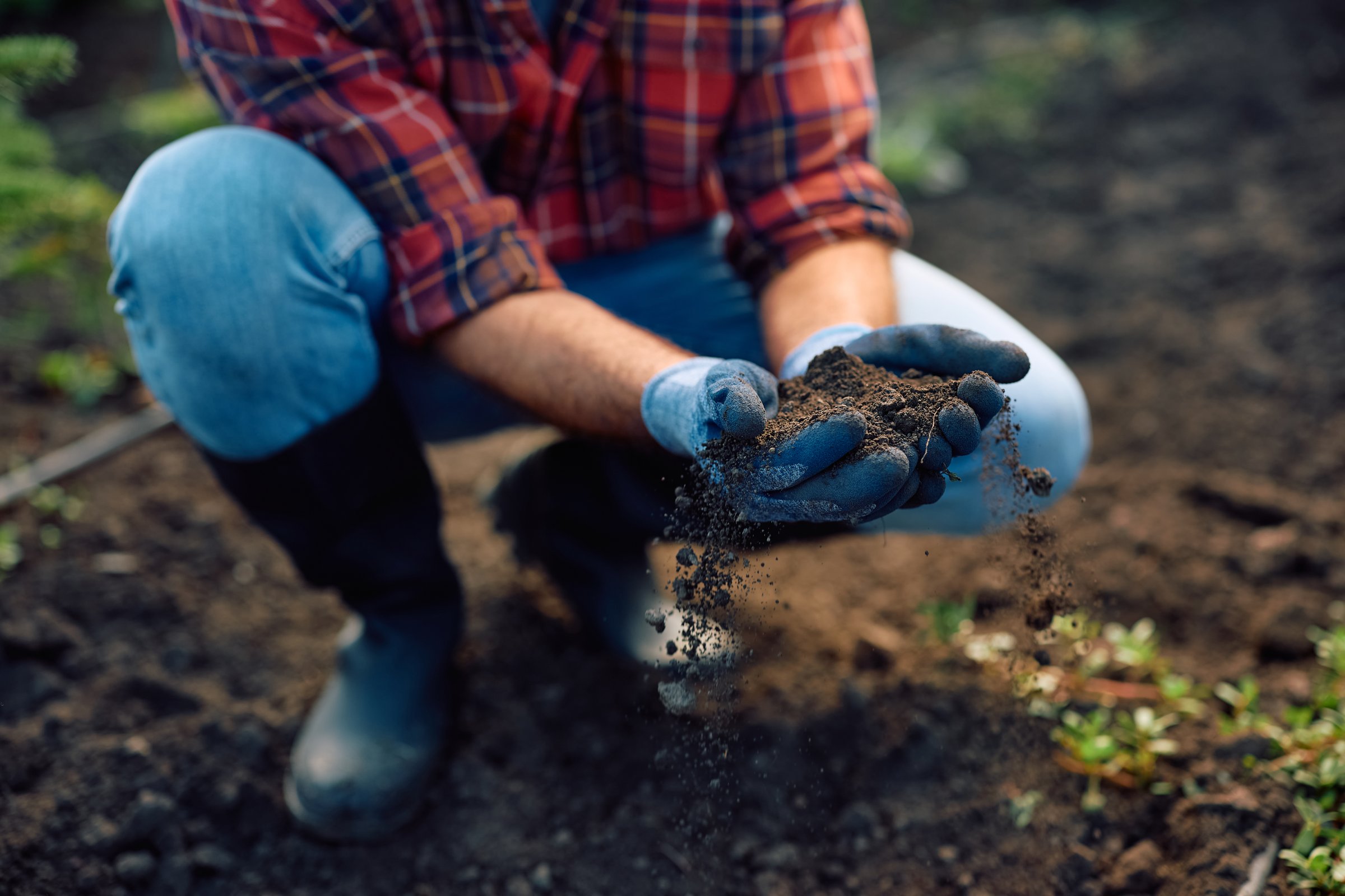 Close up of farm worker examining soil at plant nursery.