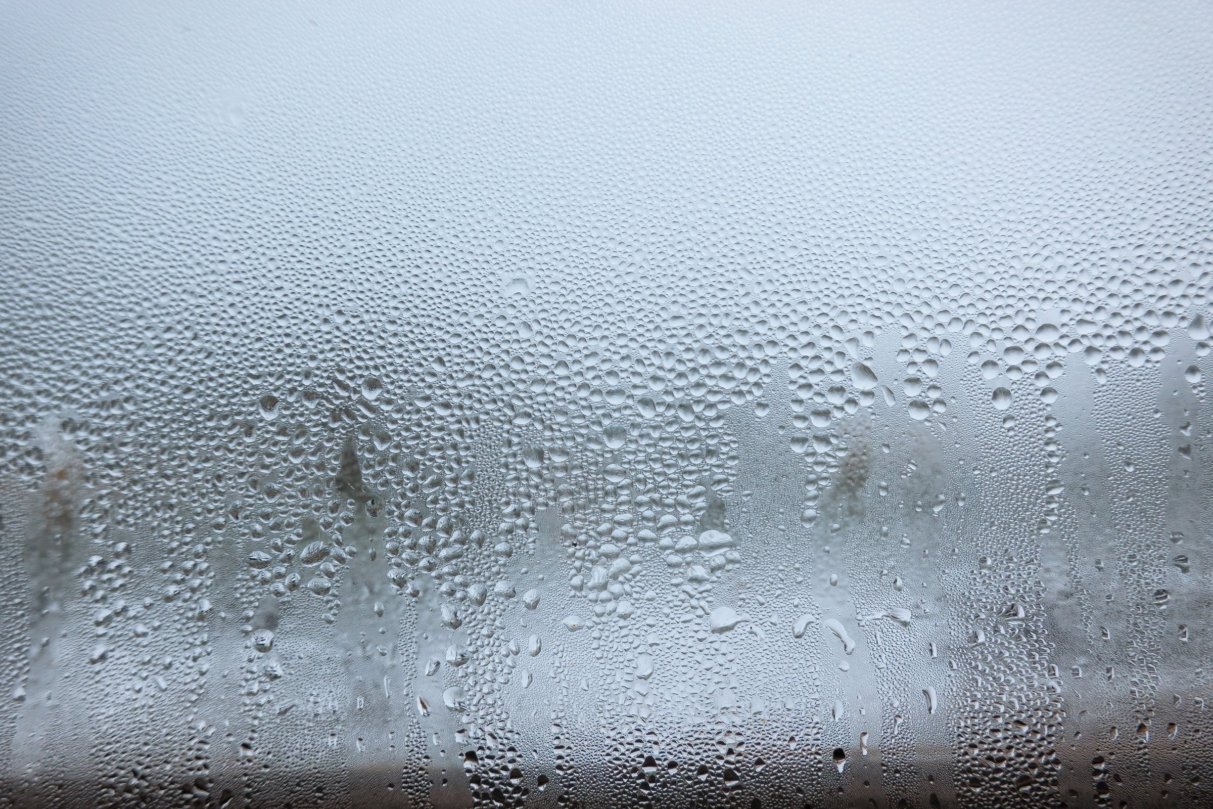 High humidity inside an Atlanta home affecting area rugs