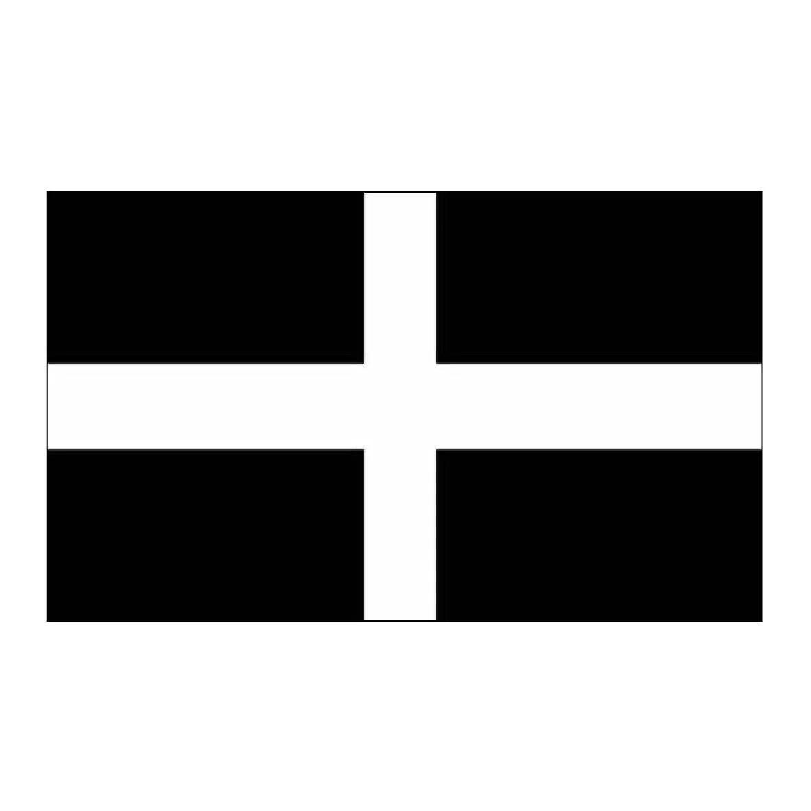 Cornwall flag Saint Piran's flag
