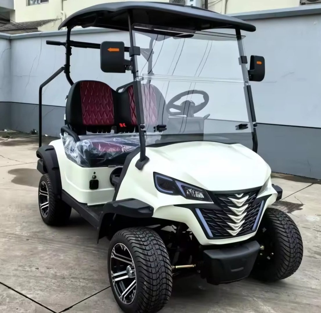 Zhianj Golf Todo Terreno - Sistema de sonido y características premium