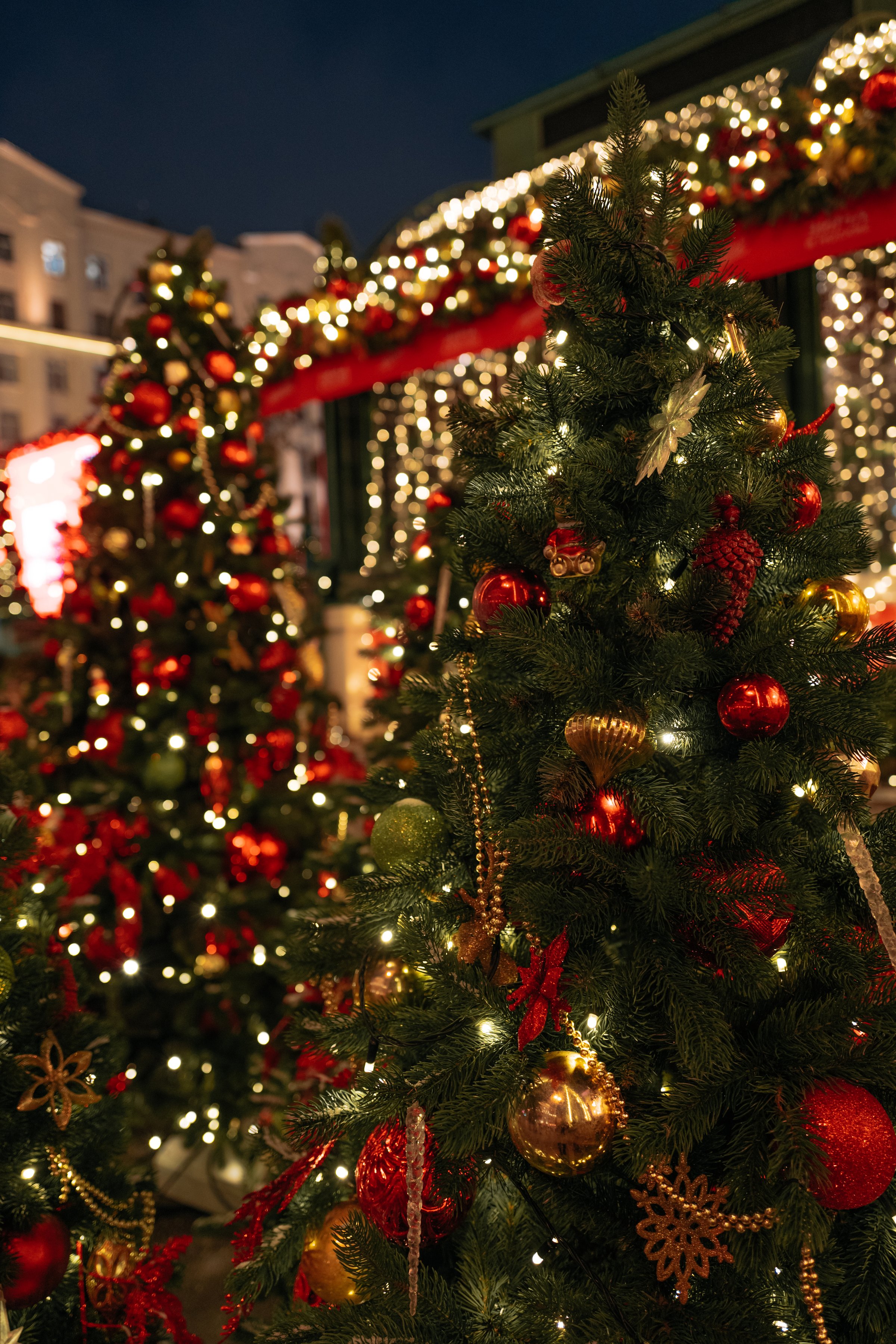 Christmas trees with hanging decor, gold beads, red glossy Christmas balls outside on the street, New Year winter celebration