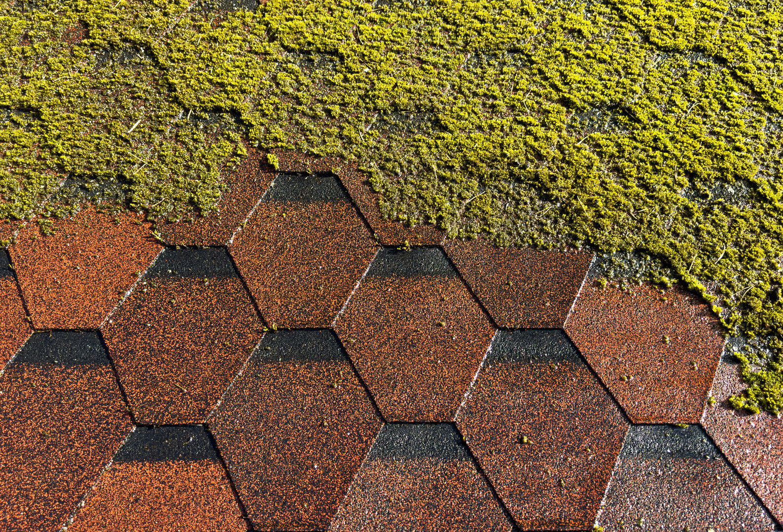 Tiles roof before and after cleaning. Water moss clean washing with high pressure water. Professional building cleaning.Moss removing with water