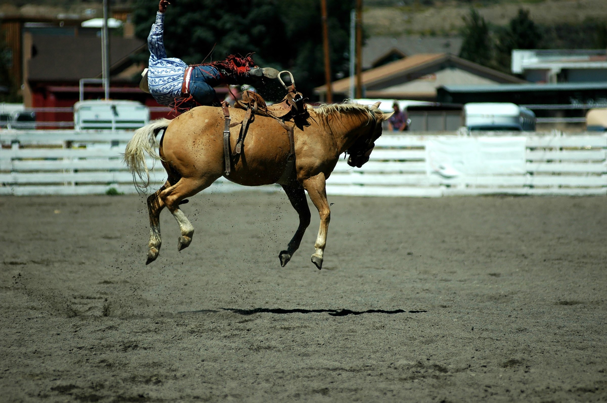 A rodeo rider in mid-air above a bucking horse in a dirt arena, with a white fence and buildings in the background.