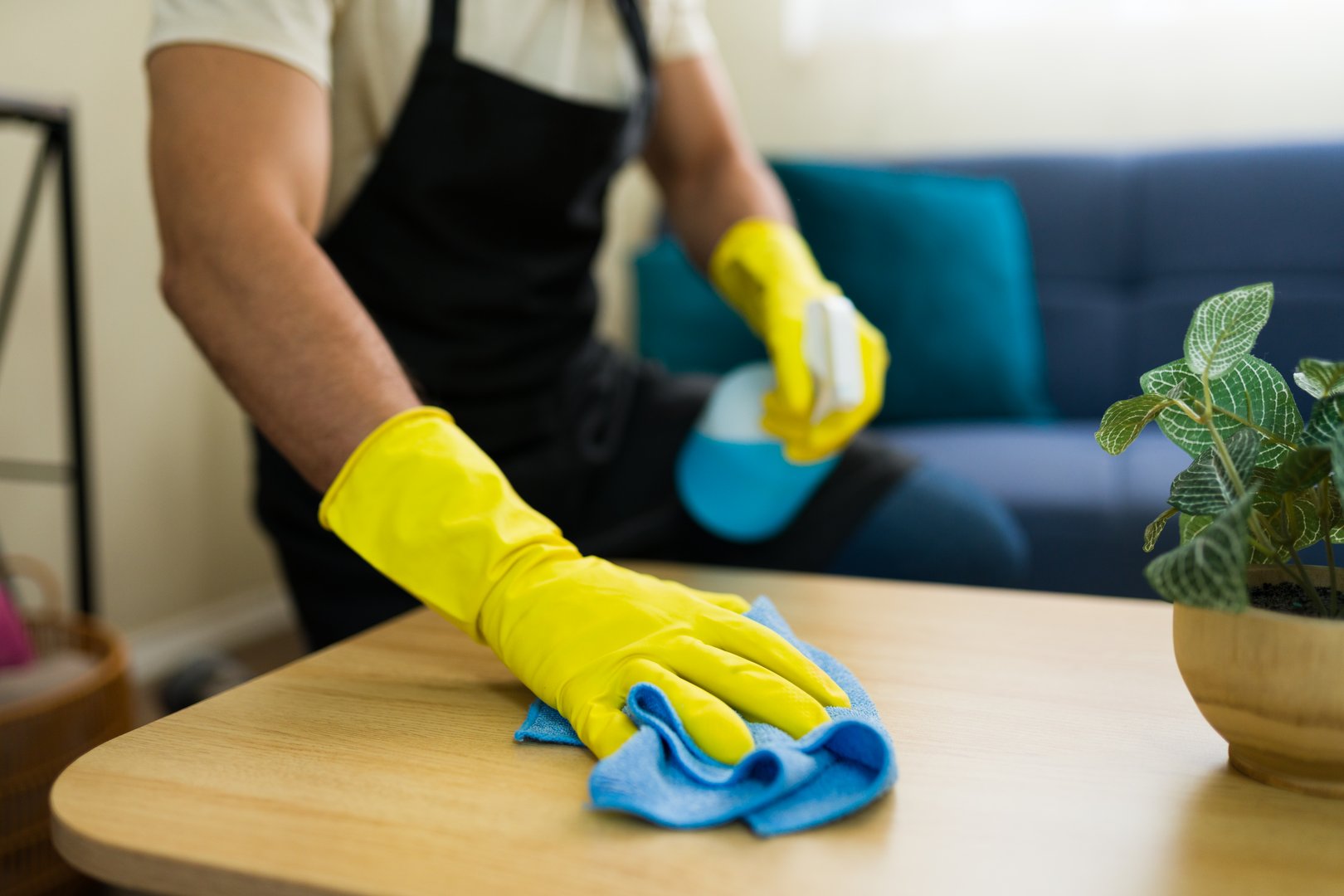 Professional cleaner wearing yellow gloves disinfecting furniture in living room using blue spray bottle and cloth