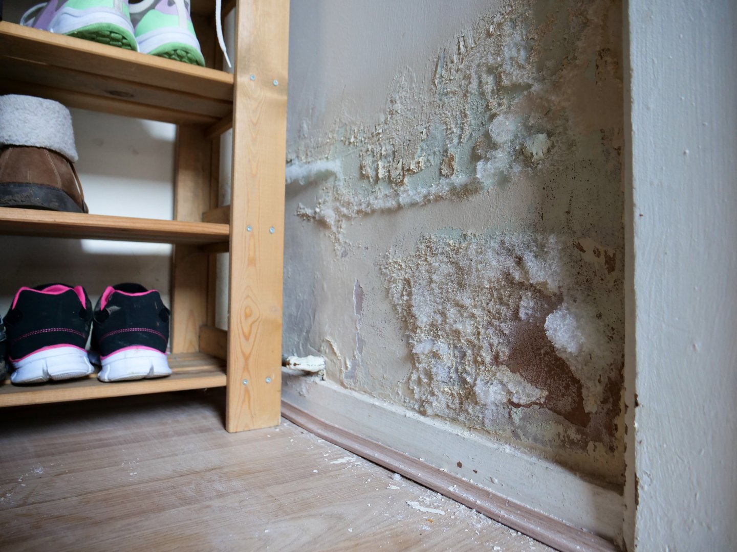 Fluffy white mould on internal wall inside of footwear storage closet, paint cracking and falling on the floor.