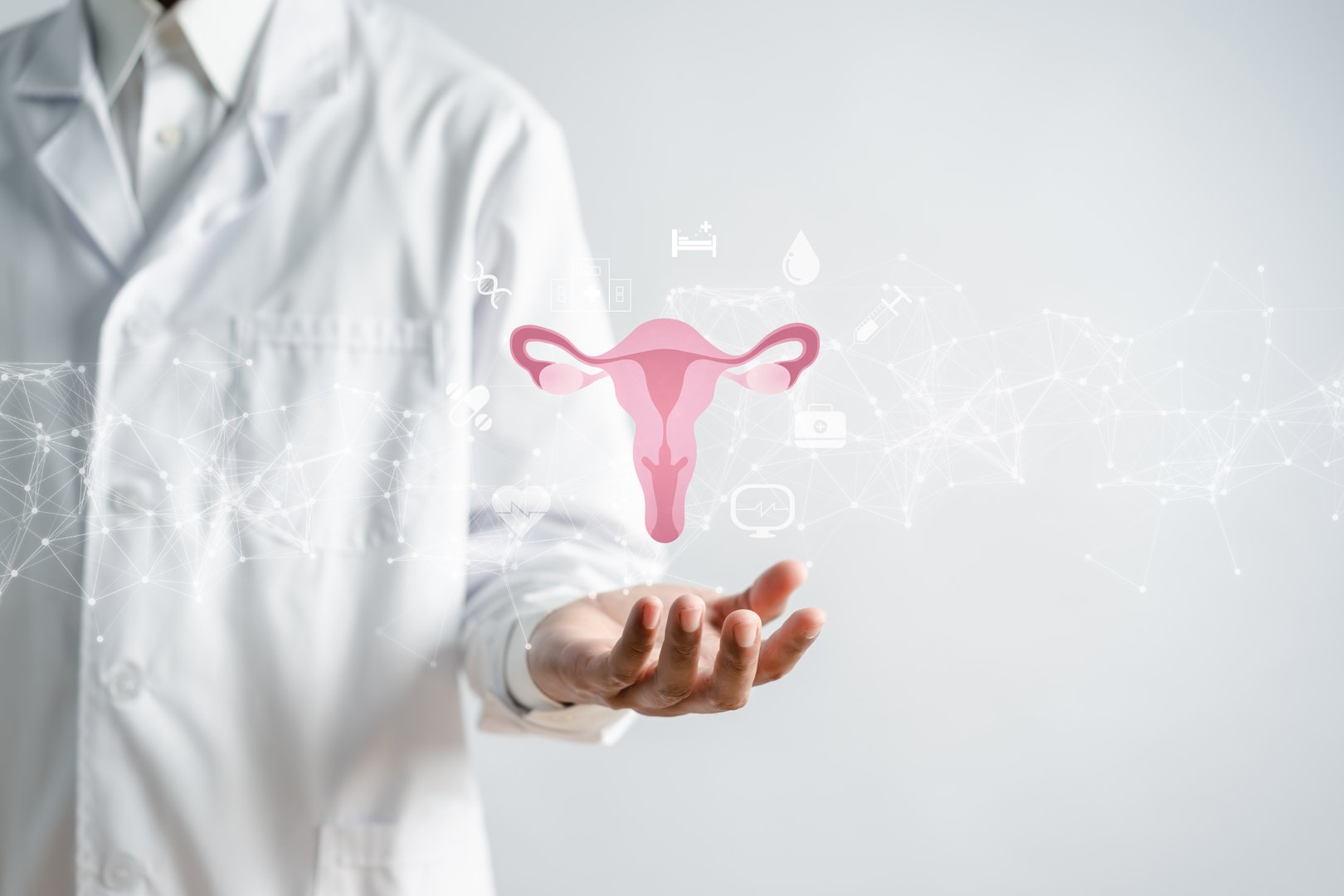 doctor in a white coat holding virtual uterus reproductive system , woman health, PCOS, ovary gynecologic and cervix cancer, Healthy feminine concept