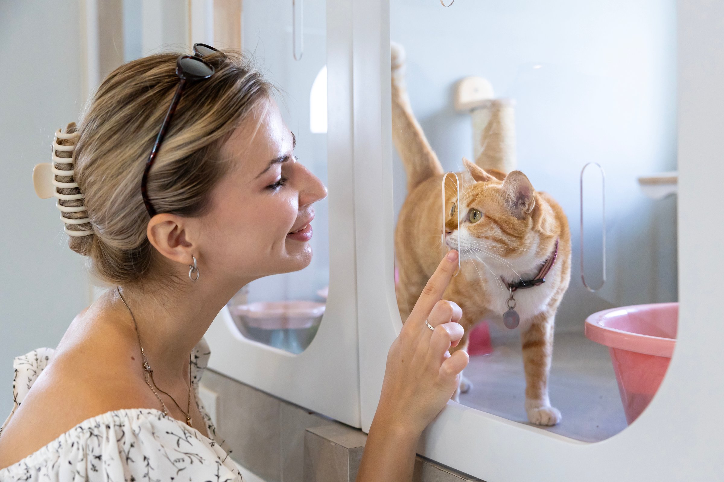 Woman visiting pet shelter adopting cat
