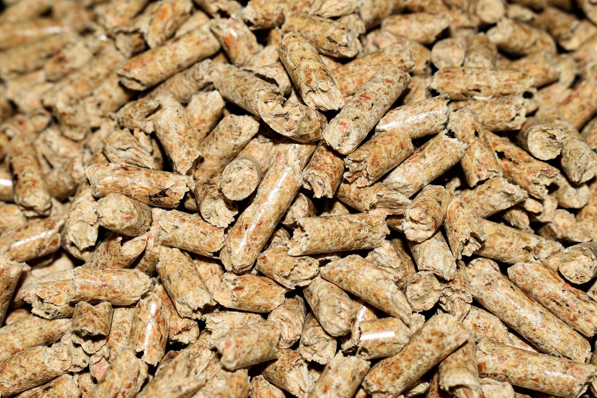 A close-up of a pile of wood pellets, typically used as fuel for heating or energy production.
