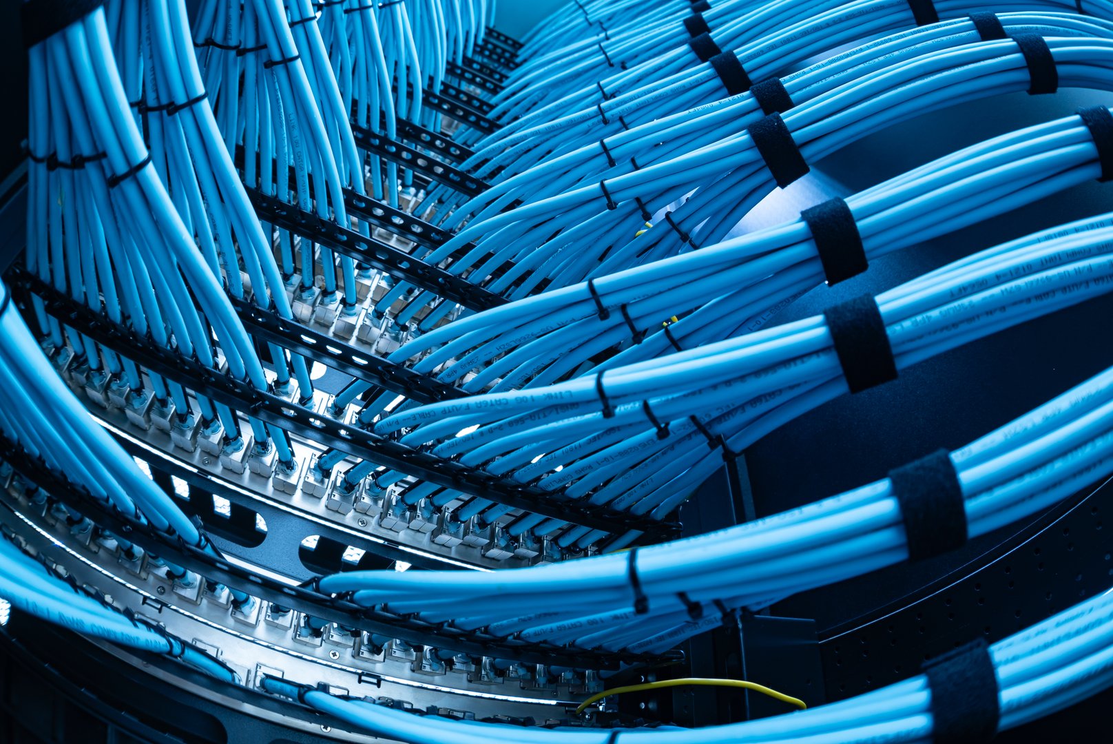 A close-up image of organized blue network cables in a server rack, showcasing efficient data transmission and connectivity in a modern technology setup.