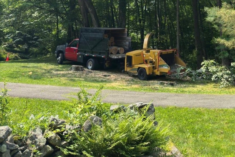 GRS Tree Service work