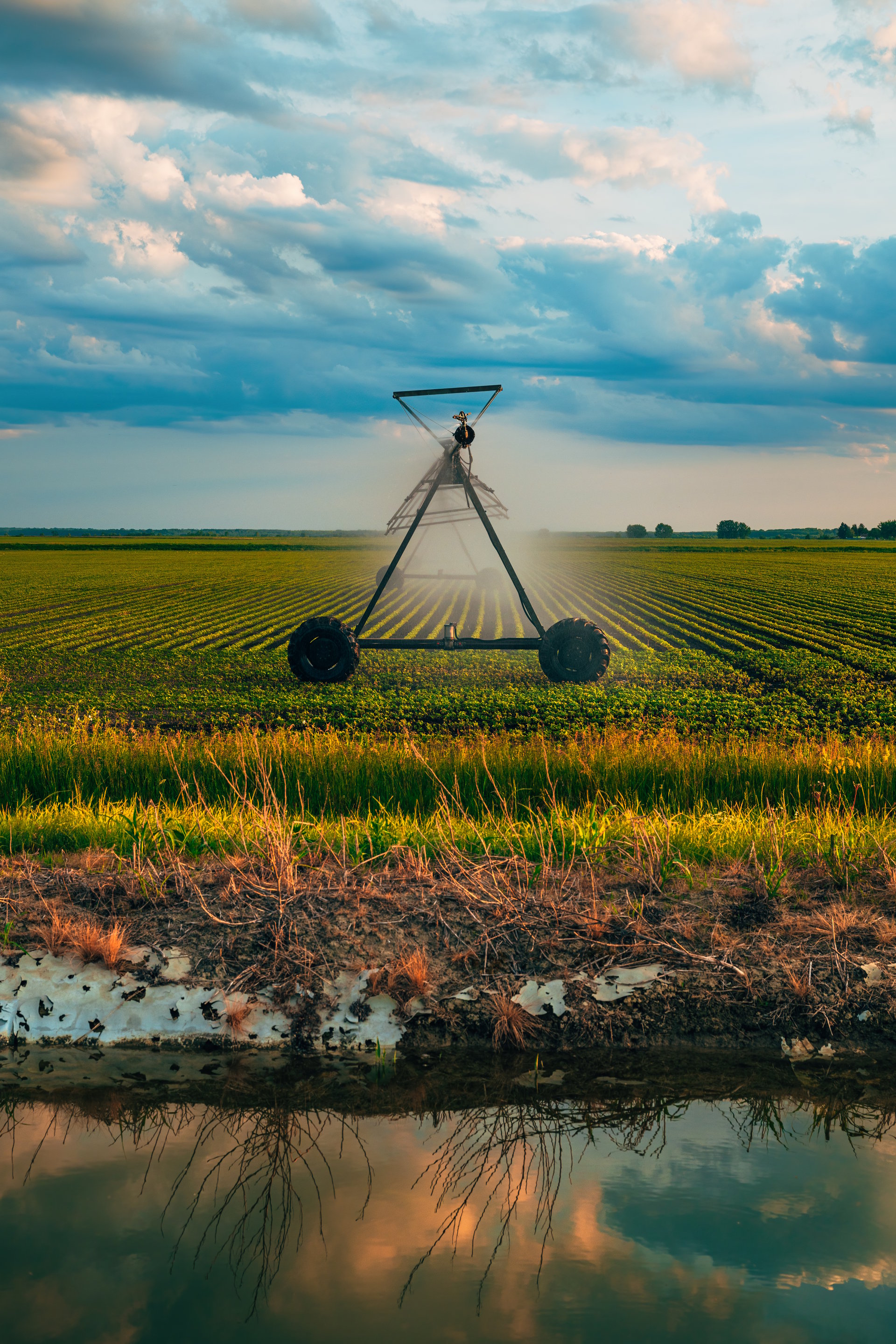 Soybean crop seedling field irrigation, agricultural sprinklers watering plants on plantation, vertical image with selective focus