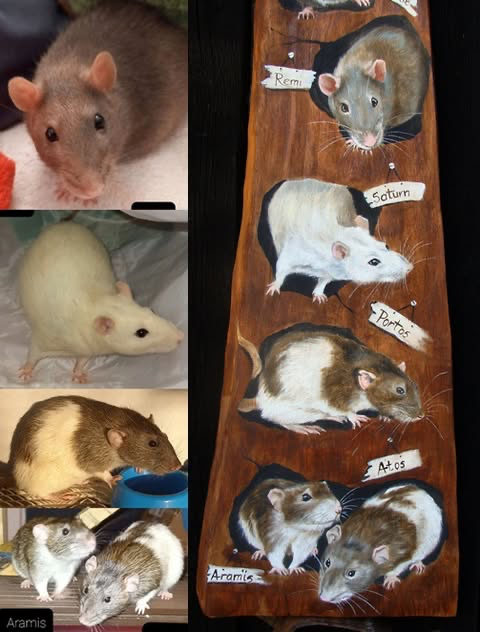 Zrealizowane zamówienie 41