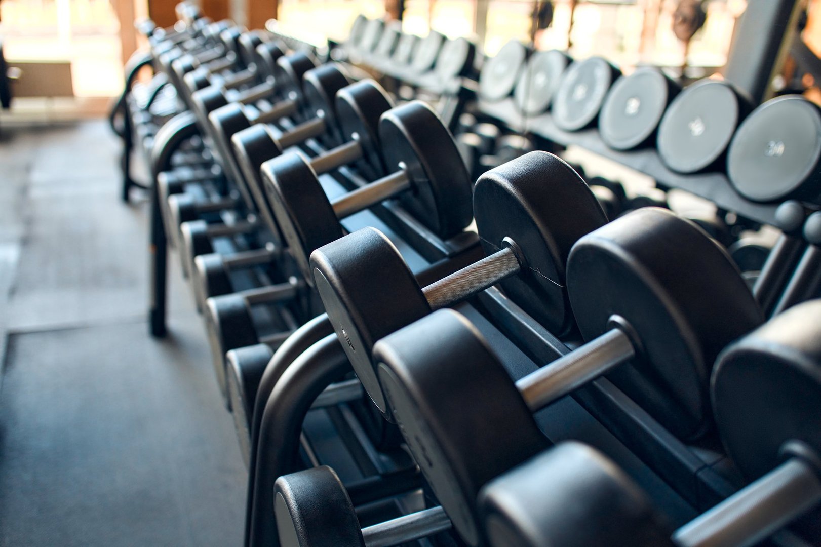 Fitness Gear