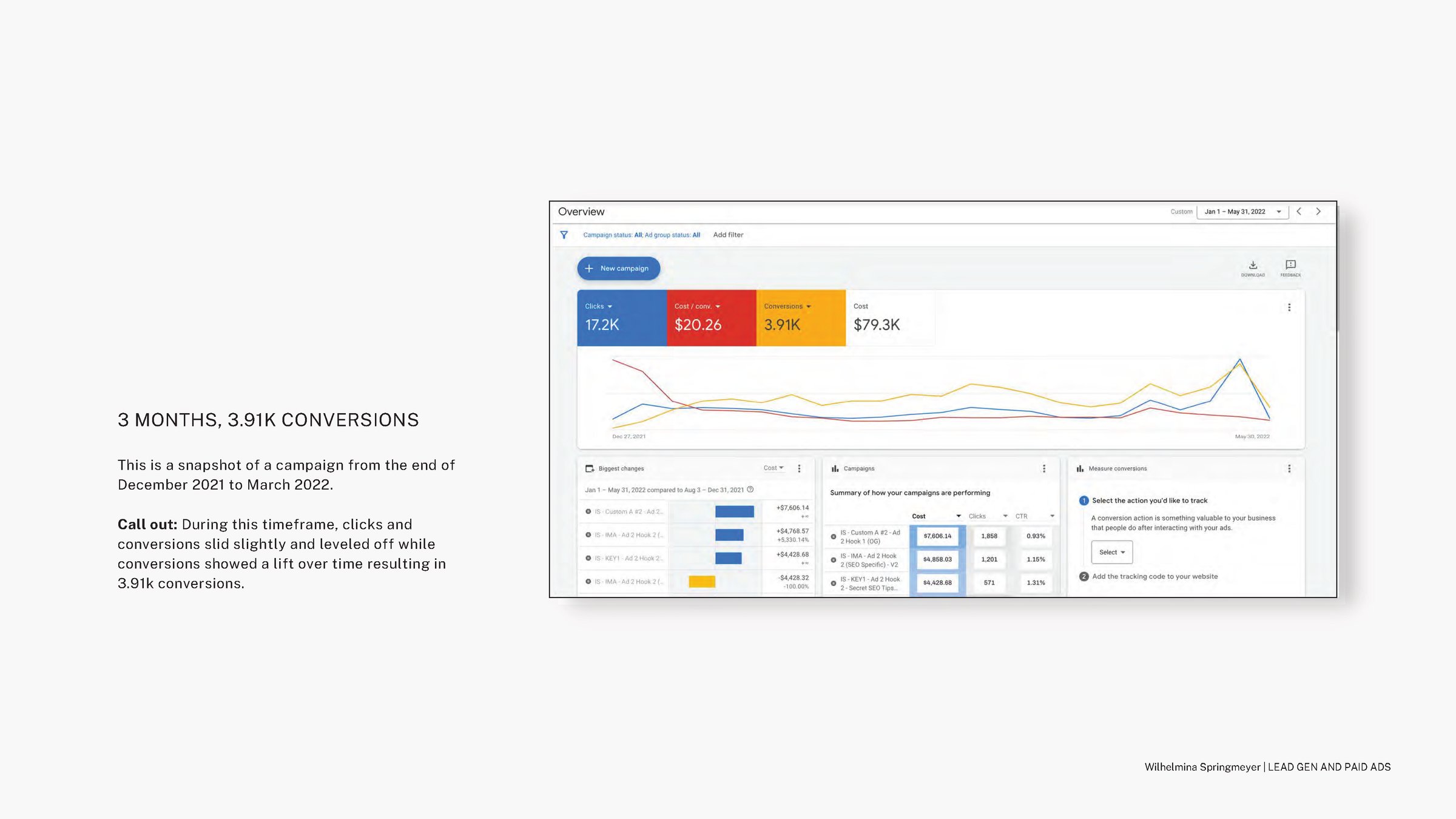 Wilhelmina Springmeyer - Paid Ads and Lead Gen Portfolio