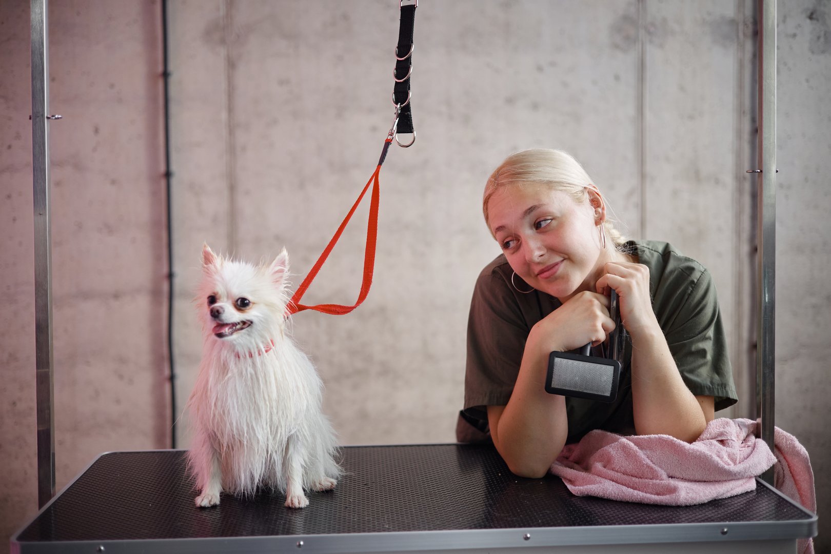 Young adult Caucasian woman smiling and leaning on grooming table while looking at small dog with wet fur sitting on table, dog attached to grooming leash