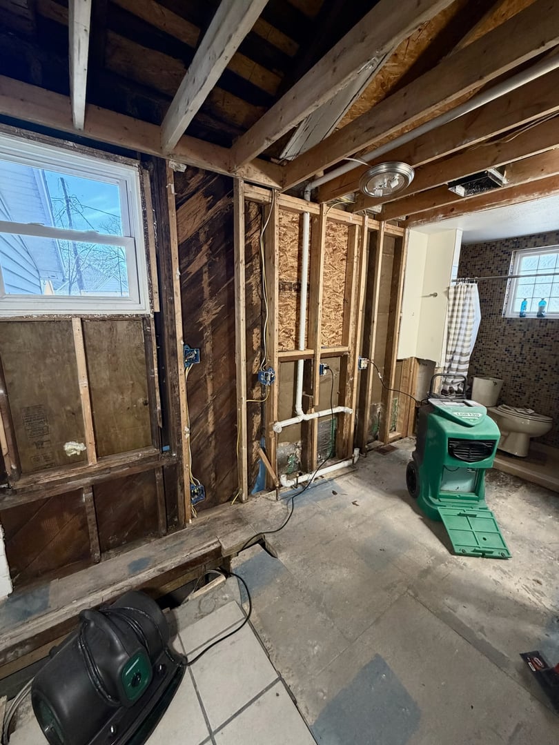 Restoration professionals at work