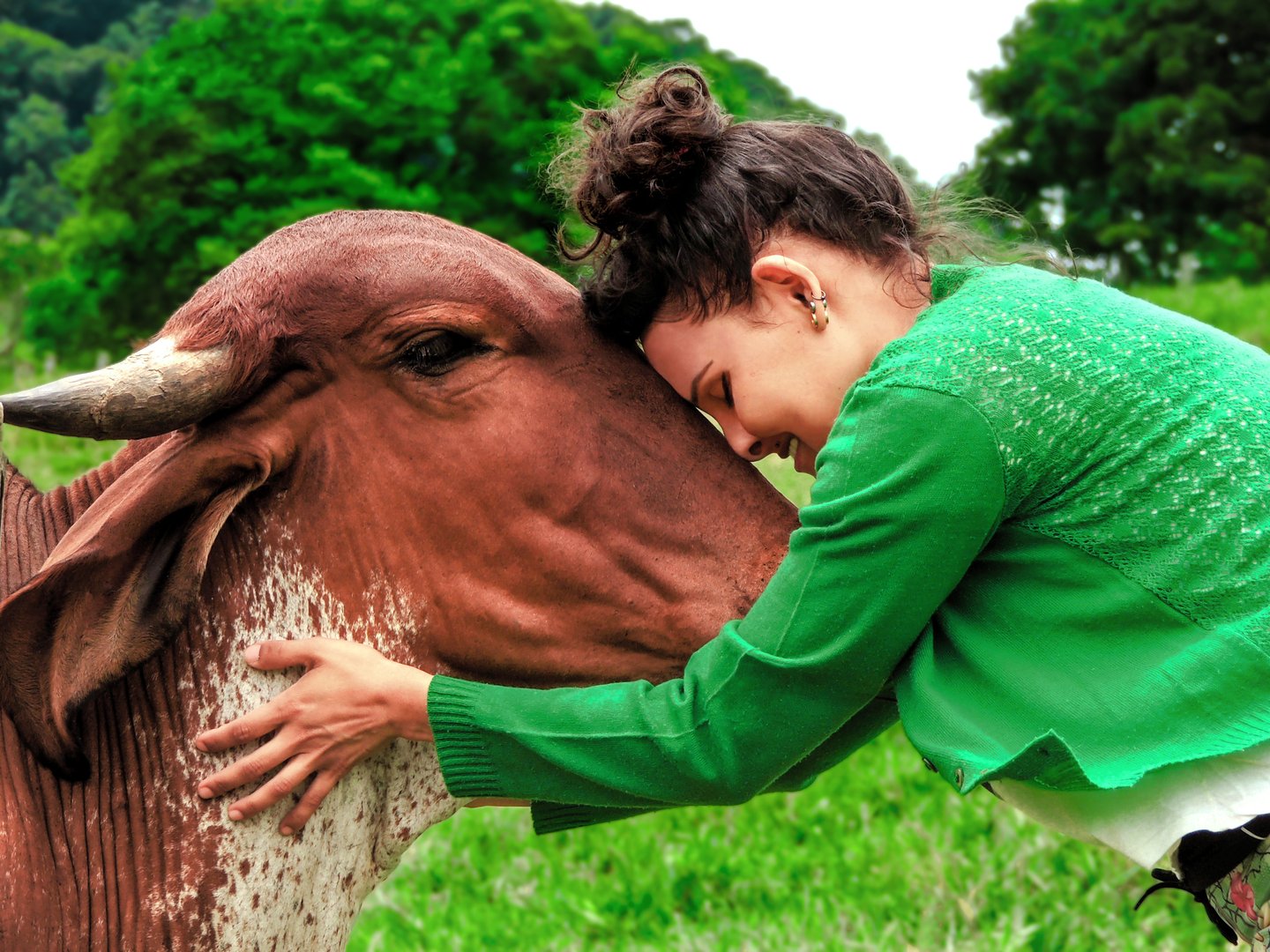 A Serene image of a young woman in a green sweater embracing a cow, revealing the shared essence of compassion. Veganism Concept, blurred background.