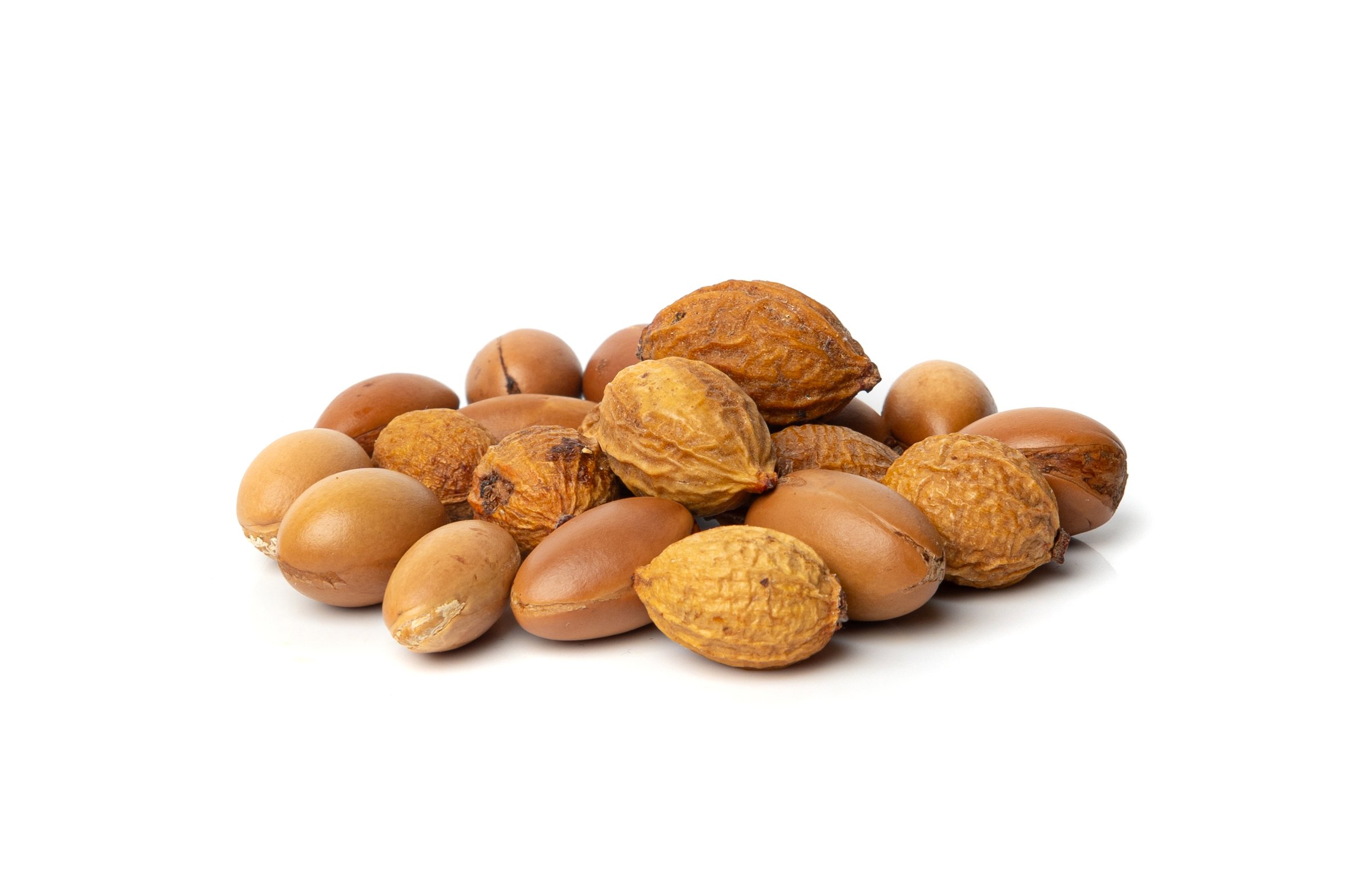 Argan Nuts Isolated, Argania Oil Seeds for Natural Organic Cosmetic, Skincare Argan Fruits, Morocco Medicine and Food Oil Plant, White Background