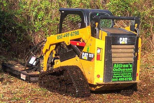 Gulf Breeze Bobcat woodland mulching