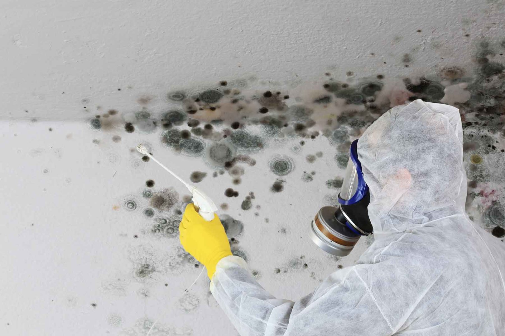Technician removing mold while wearing protective gear