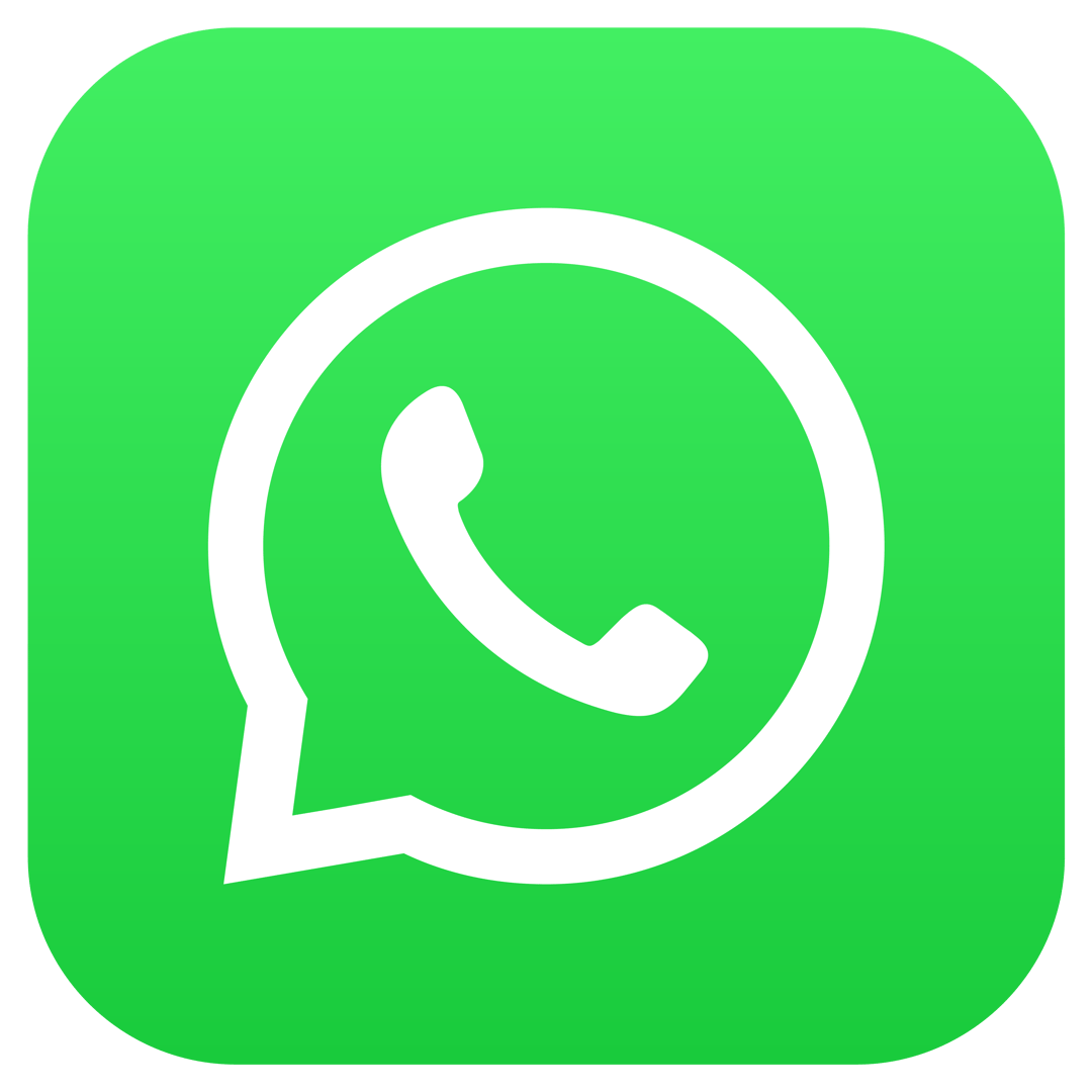 WhatsApp Contact