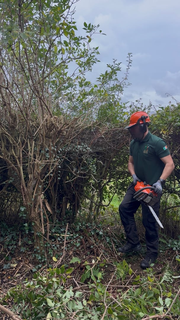 Luke Beresford - Owner & Operator of Bear Services