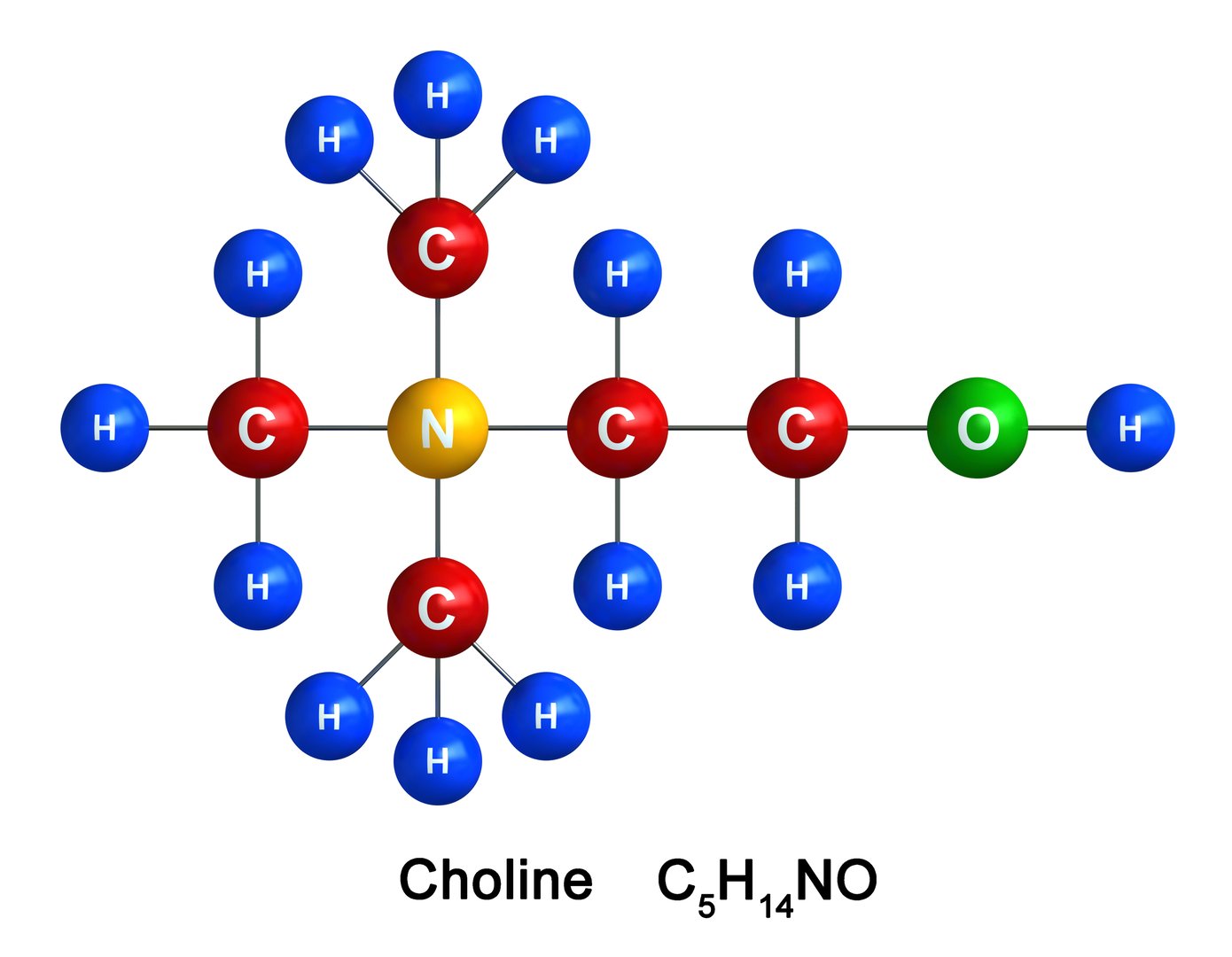 3d render of molecular structure of Choline isolated over white background. Atoms are represented as spheres with color and chemical symbol coding: hydrogen(H) - blue, carbon(C) - red, oxygen(O) - green, nitrogen(N) - yellow