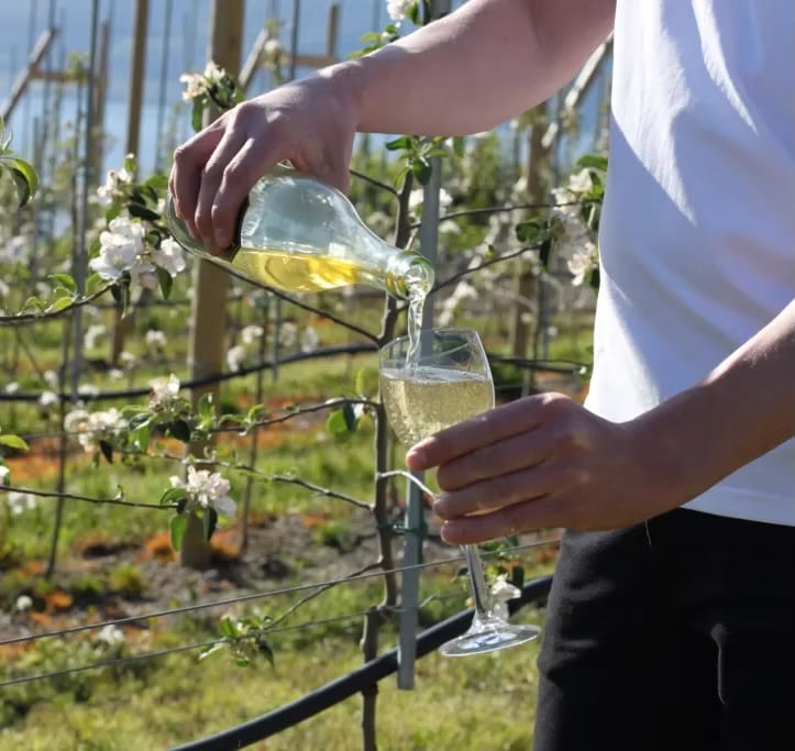 Exclusive Cider Tour Experience