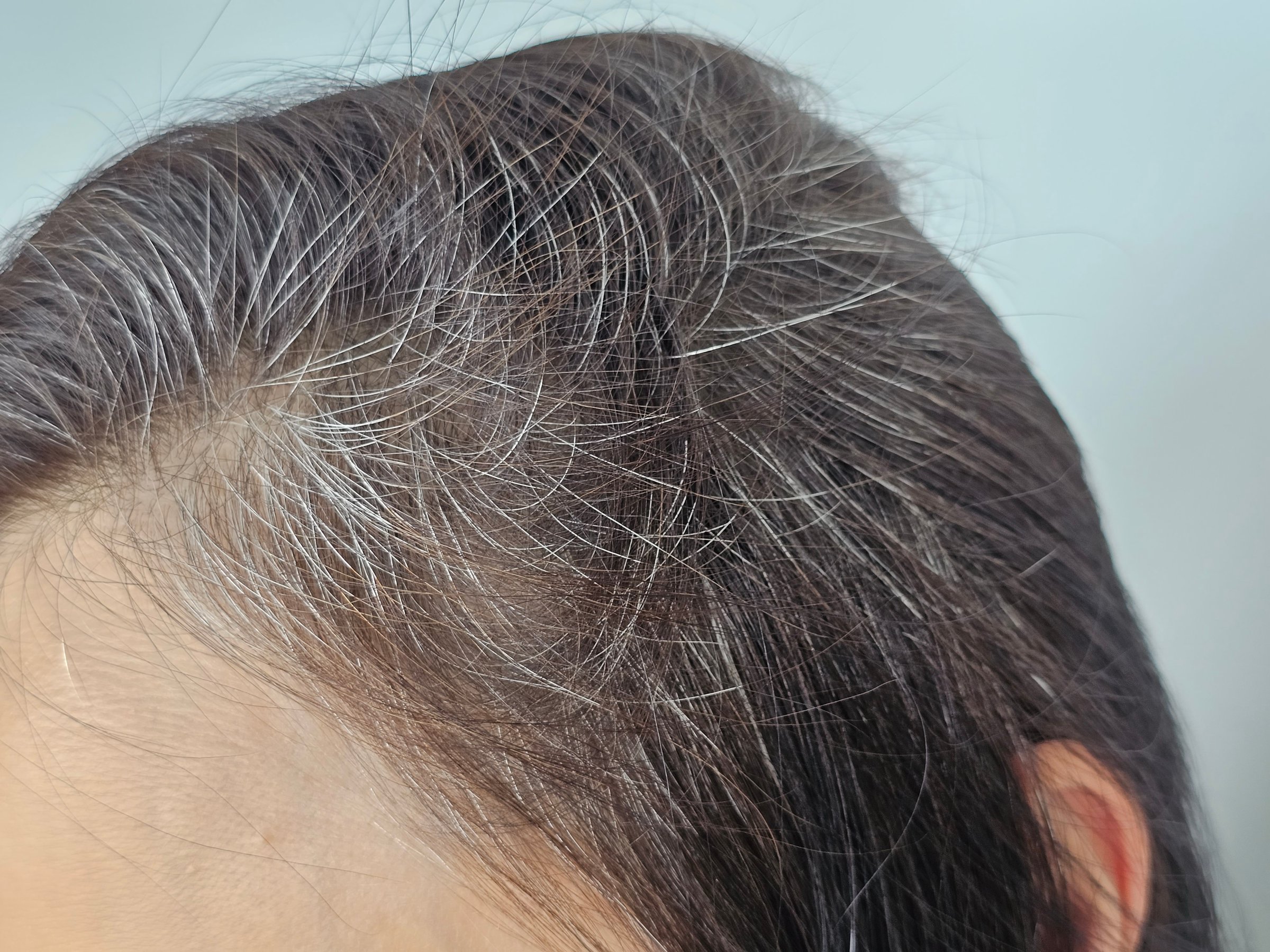 Close-up of a woman hair showcasing natural gray strands against a light background