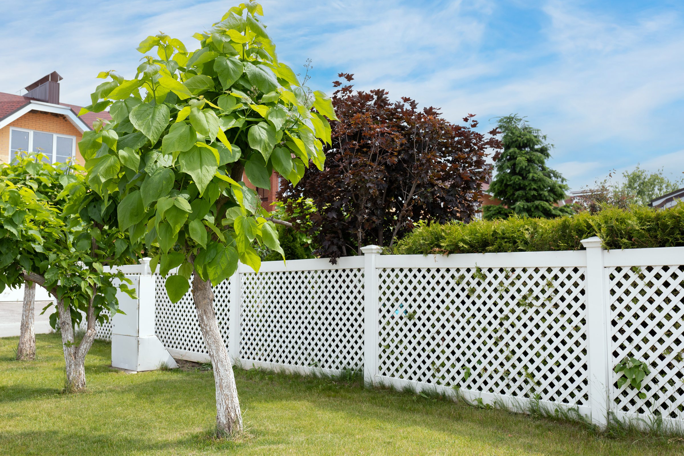 White fence with trees