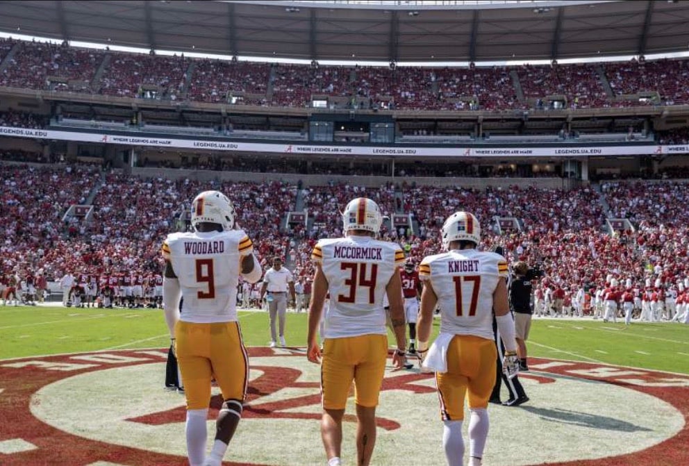 Boogie Knight action shot