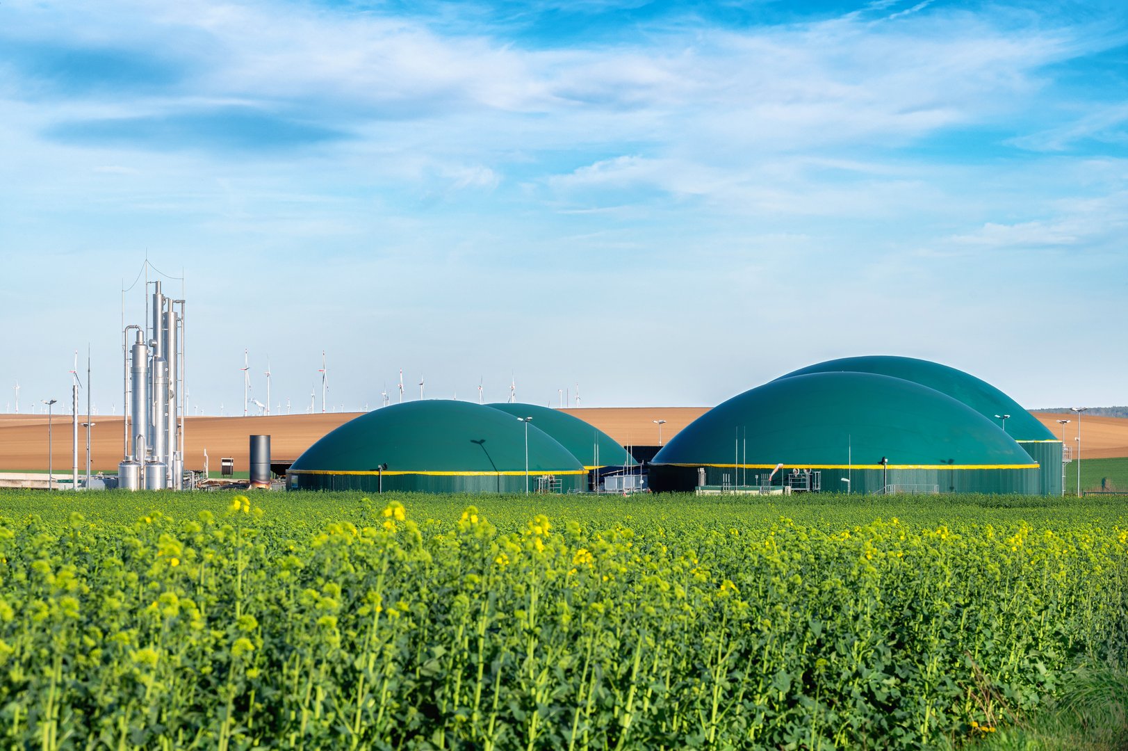 View over a rapeseed field to a biogas plant