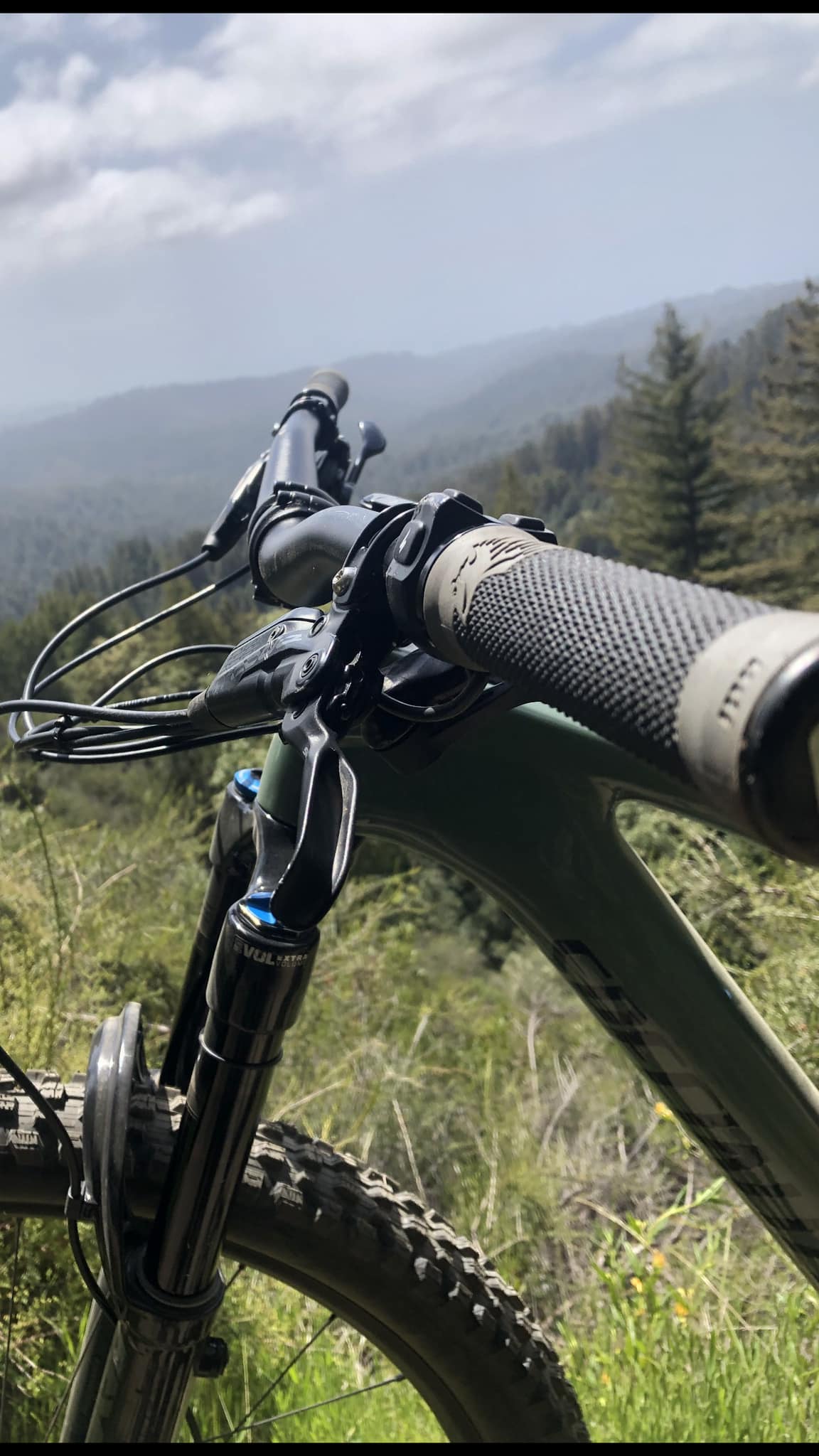 Mountain bike rider descending trail in Redwood National Park, Northern California