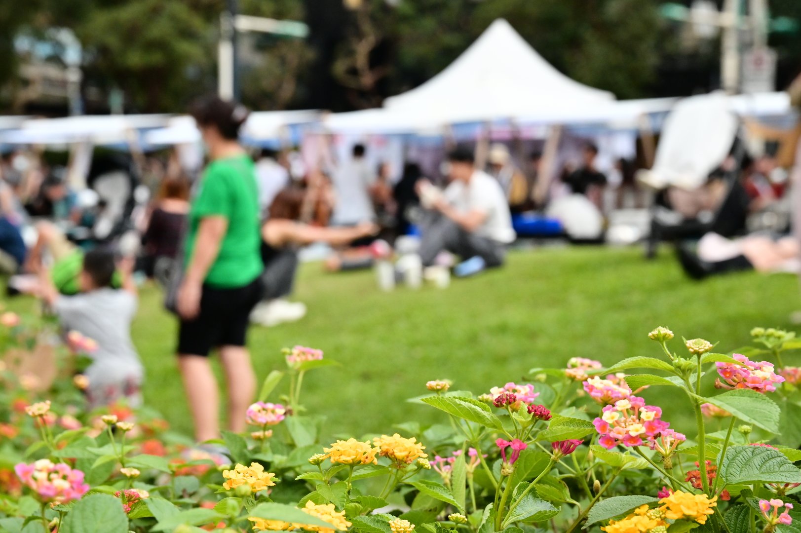 Located in Huashan Cultural Park, the Huashan Grassland is a spacious green field perfect for picnics, relaxing, and enjoying weekend creative markets in Taipei's bustling city center.