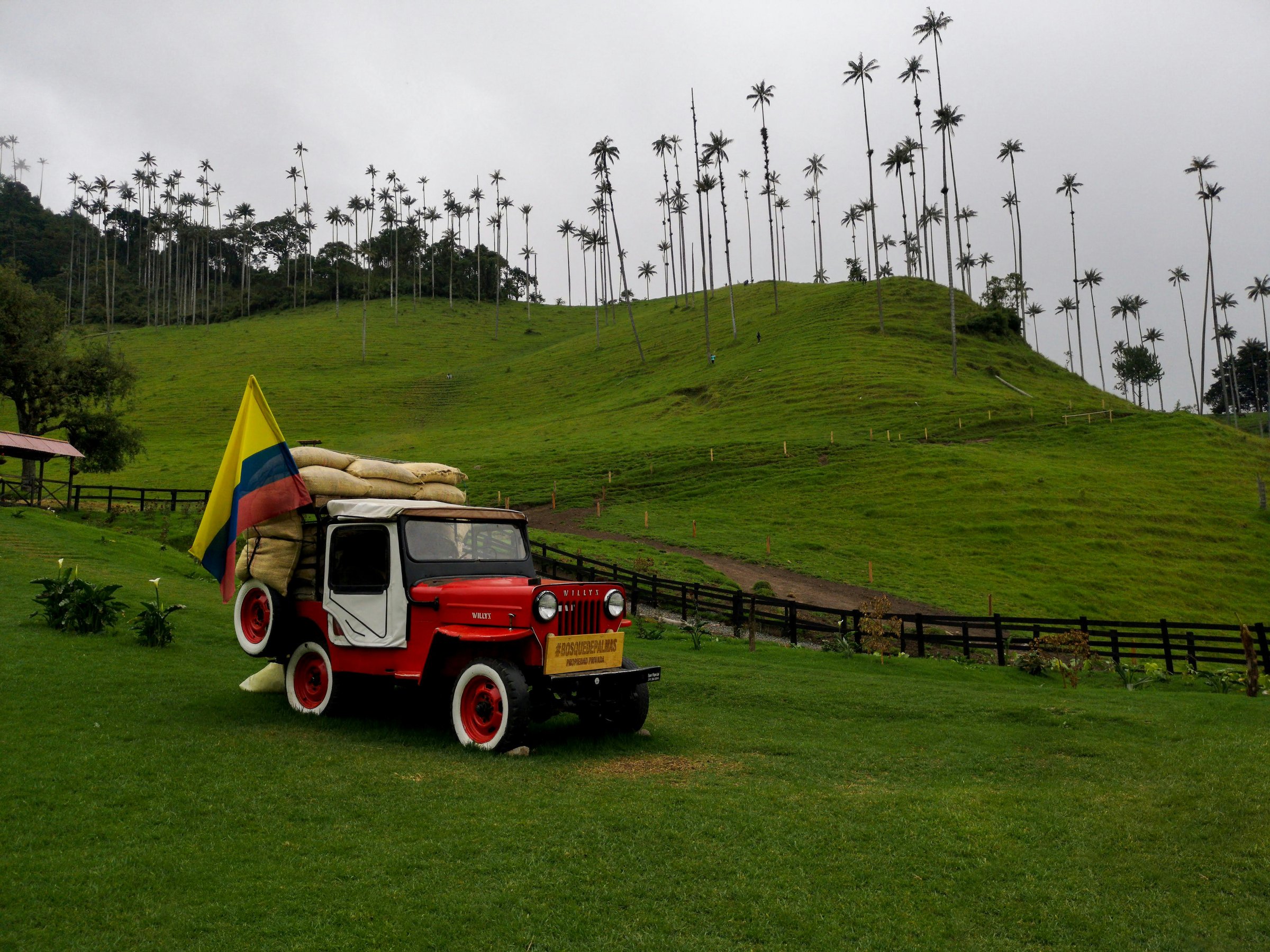 Colombian Coffee Region landscape