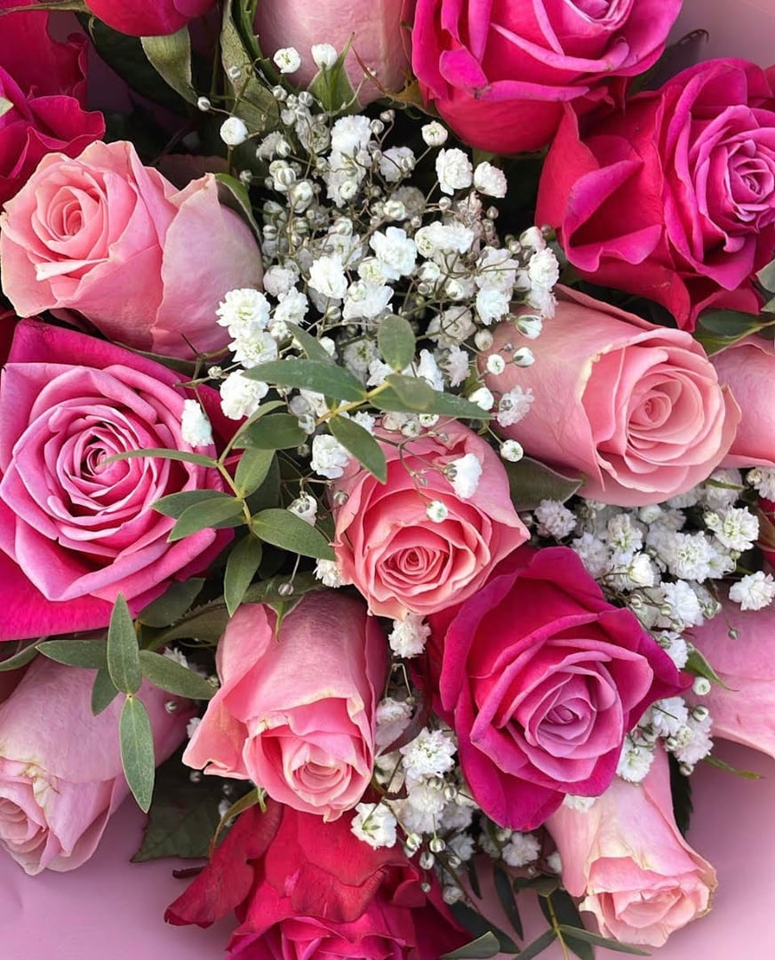 A bouquet of pink and red roses with white baby's breath flowers and green leaves, arranged closely together.