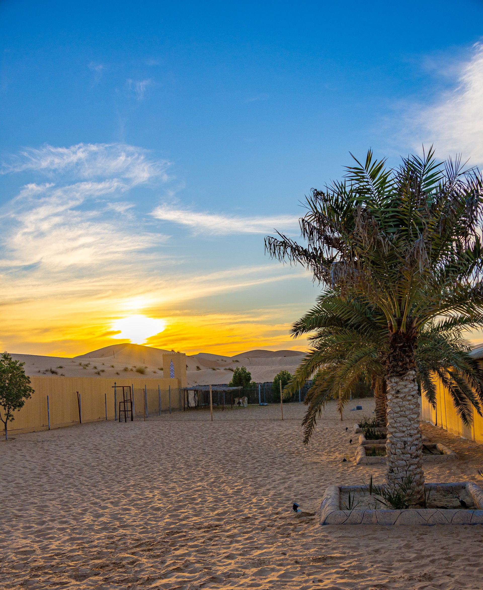 Sunset in the desert, UAE