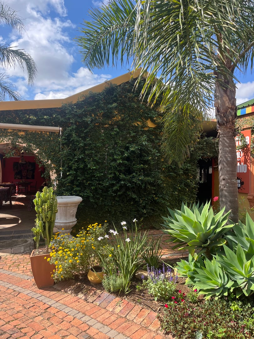 Coffee at Kahlo space