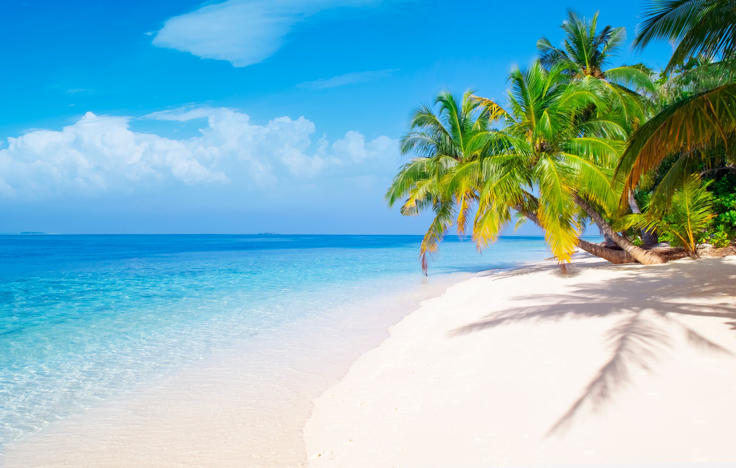 Tropical sea beach natural background with blue sky, palm trees and white clouds in blue sky