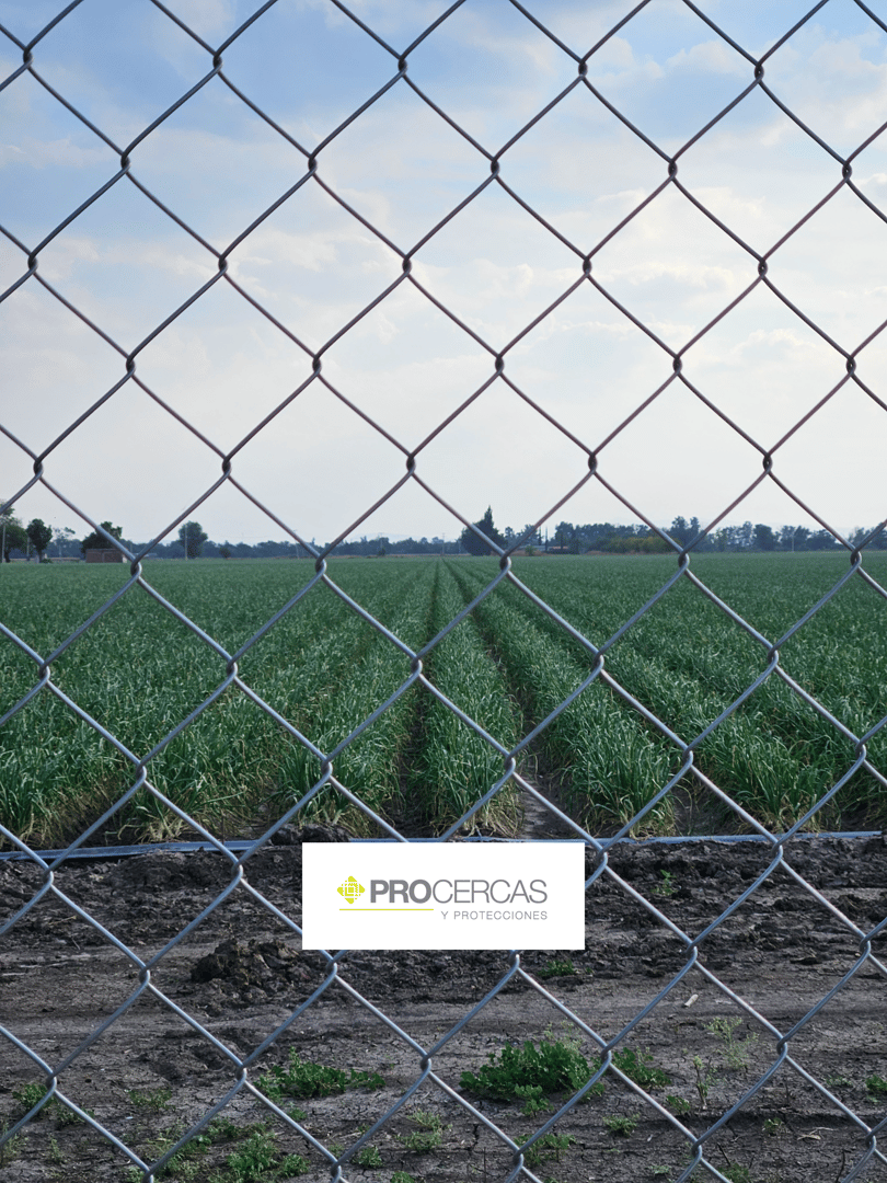 Malla Ciclónica PROCERCAS - Diseño profesional